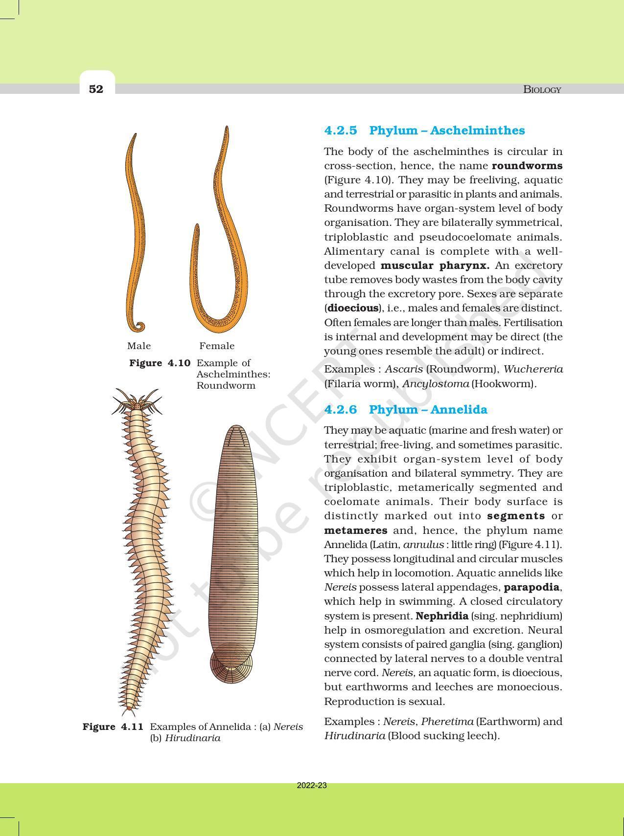 NCERT Book for Class 11 Biology Chapter 4 Animal Kingdom - Page 7