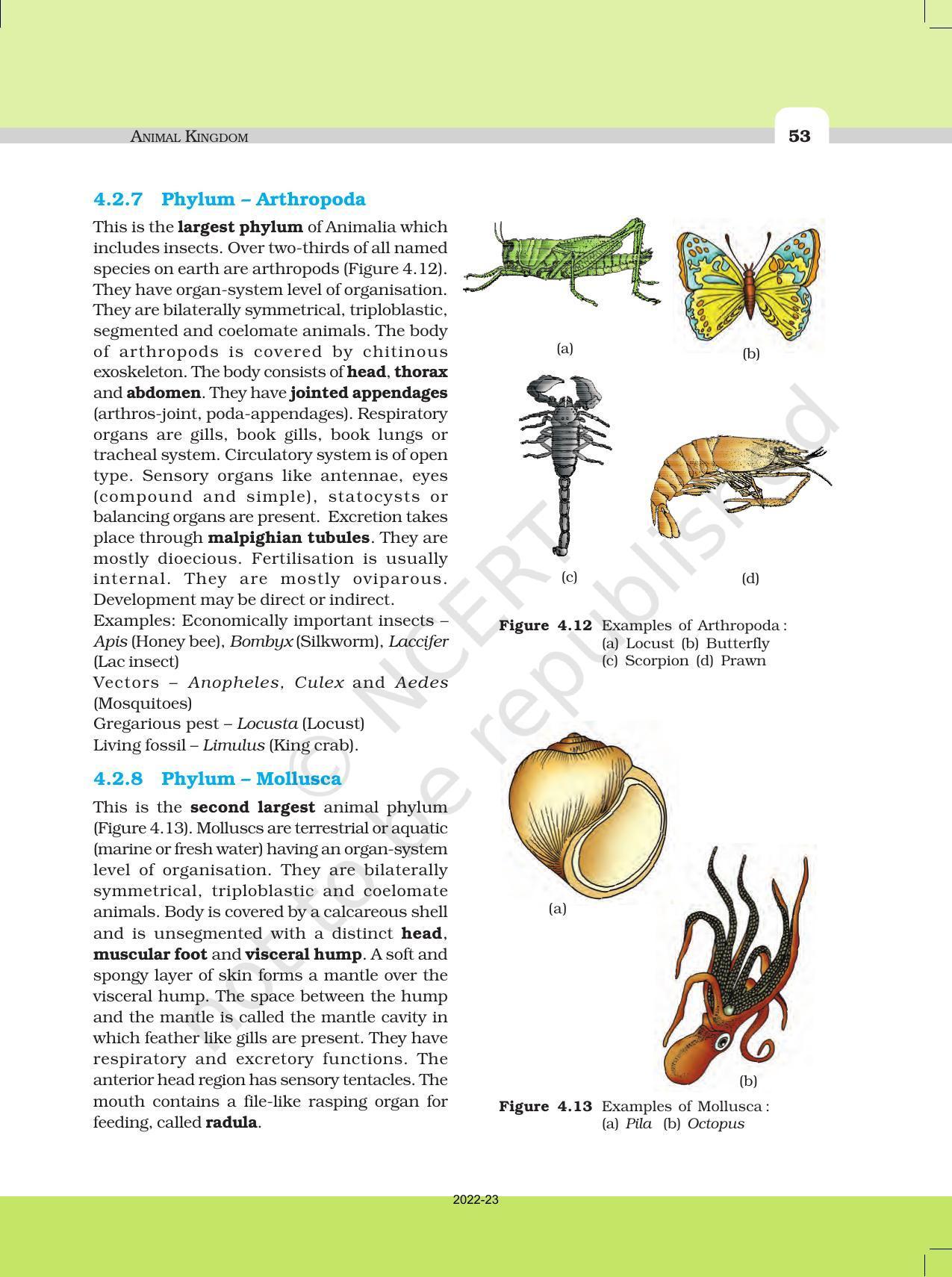 NCERT Book for Class 11 Biology Chapter 4 Animal Kingdom - Page 8