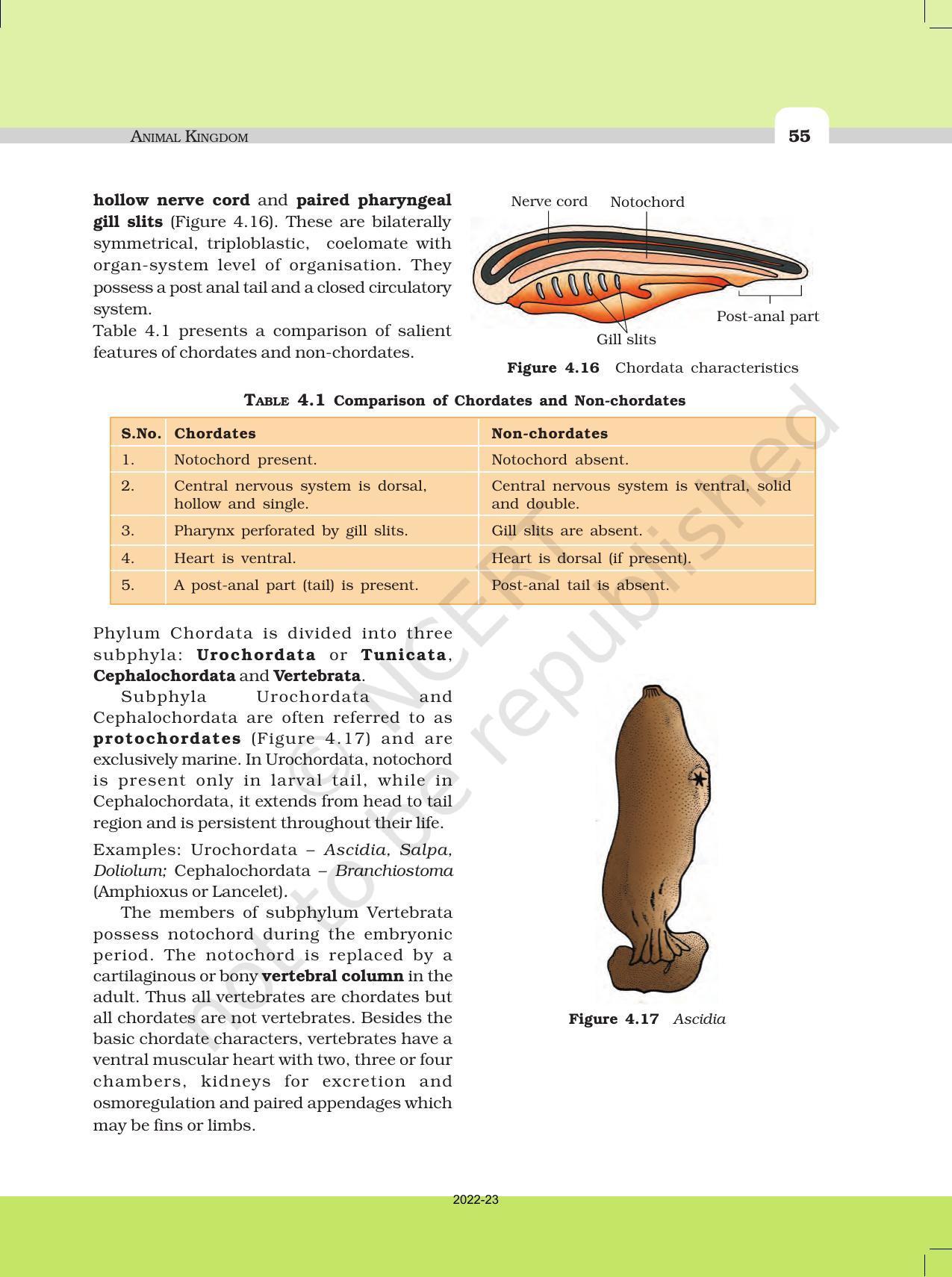 NCERT Book for Class 11 Biology Chapter 4 Animal Kingdom - Page 10