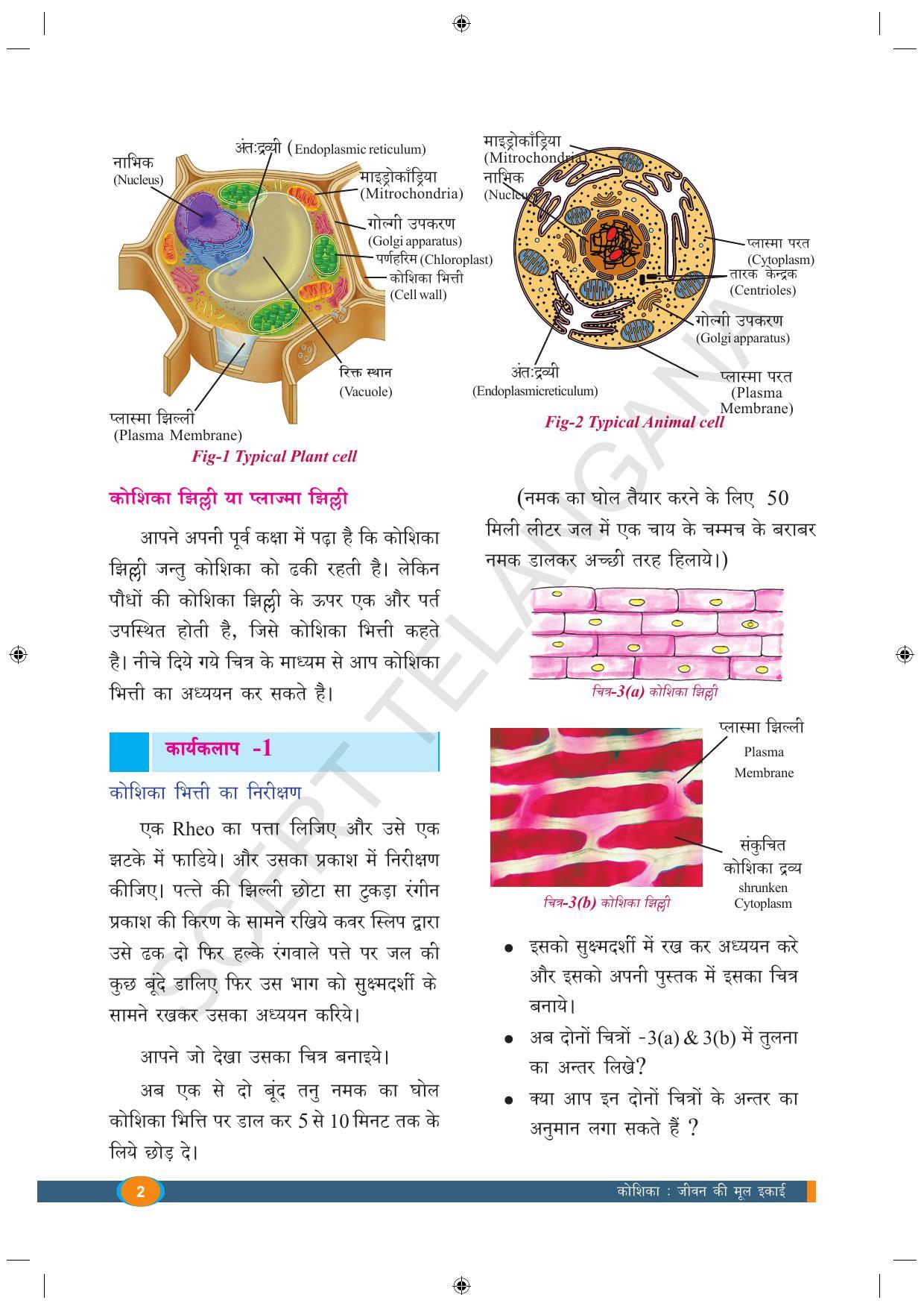 TS SCERT Class 9 Biological Science (Hindi Medium) Text Book - Page 14