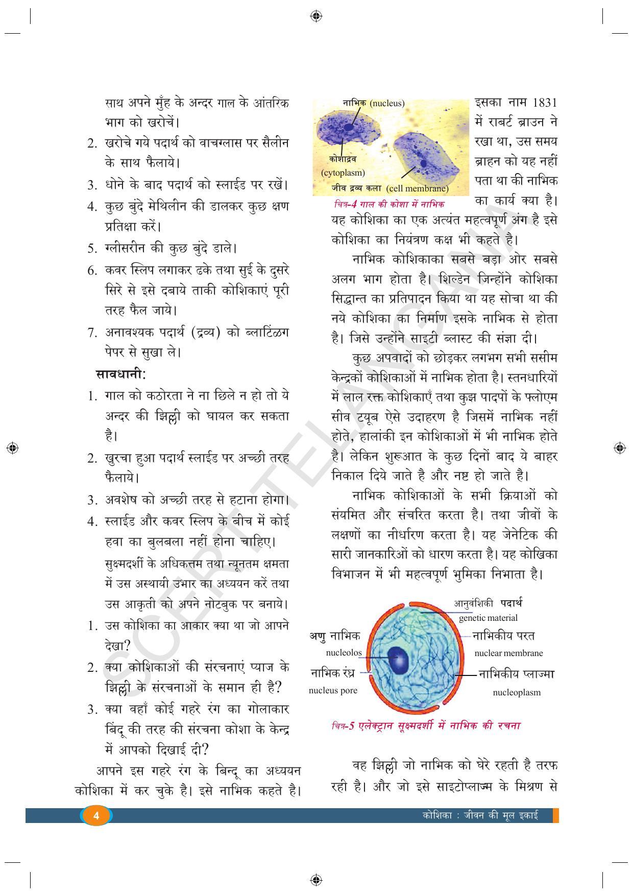 TS SCERT Class 9 Biological Science (Hindi Medium) Text Book - Page 16