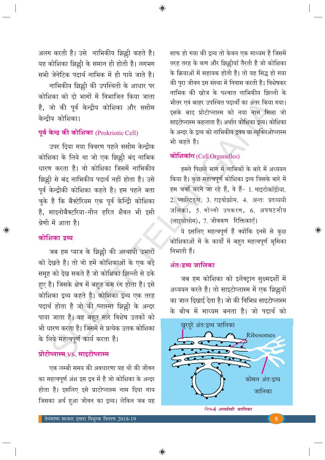 TS SCERT Class 9 Biological Science (Hindi Medium) Text Book - Page 17