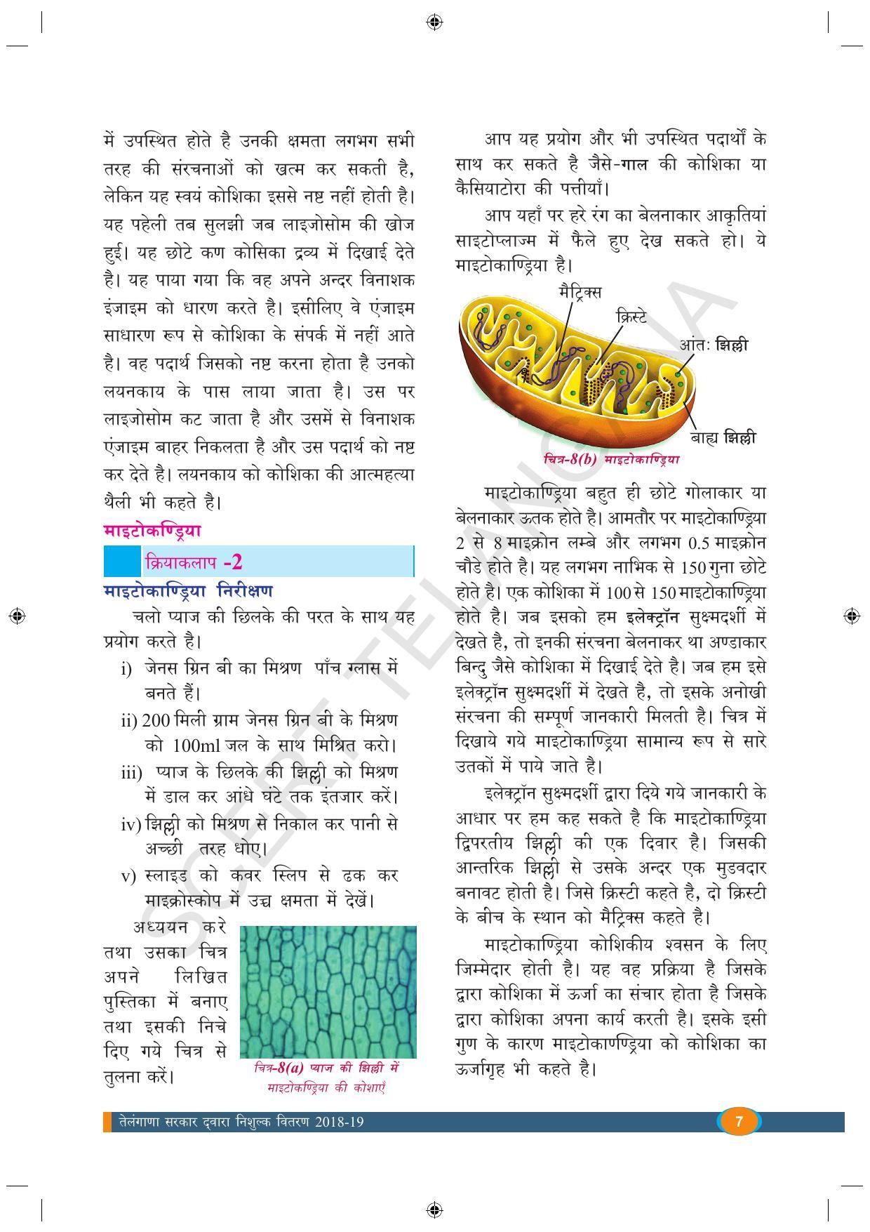 TS SCERT Class 9 Biological Science (Hindi Medium) Text Book - Page 19