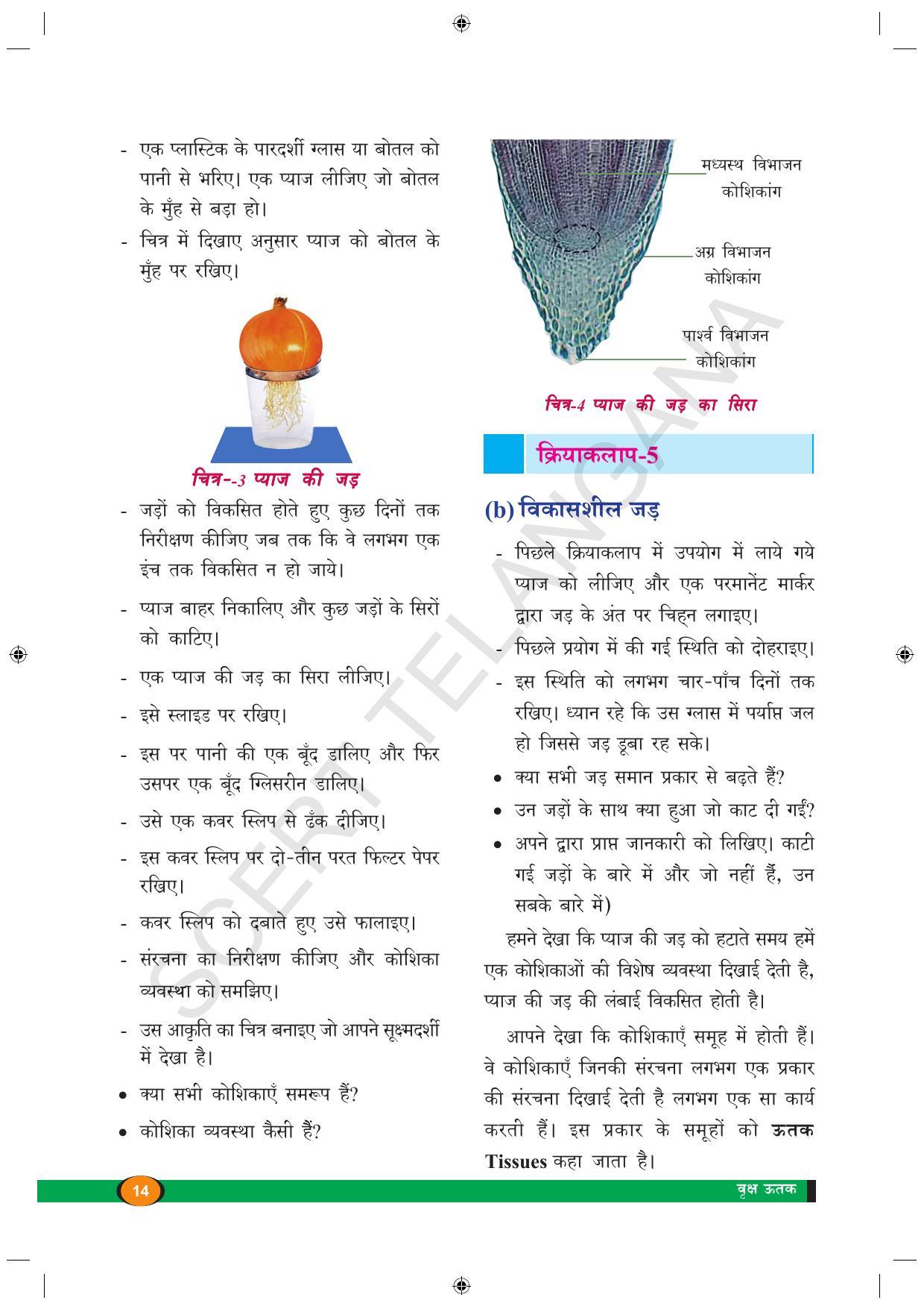 TS SCERT Class 9 Biological Science (Hindi Medium) Text Book - Page 26