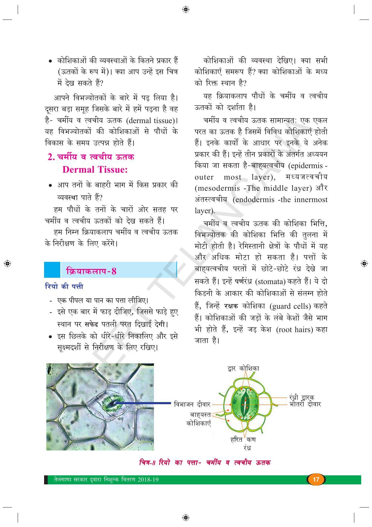 TS SCERT Class 9 Biological Science (Hindi Medium) Text Book - Page 29