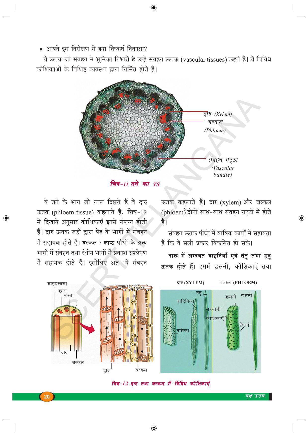 TS SCERT Class 9 Biological Science (Hindi Medium) Text Book - Page 32