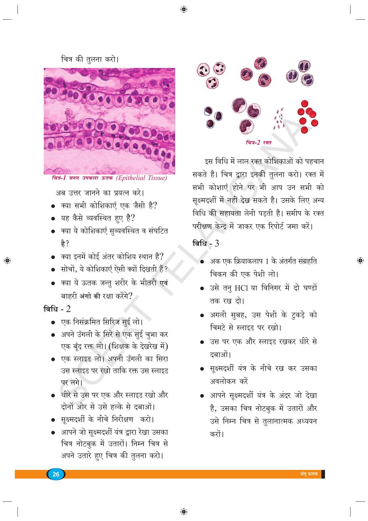 TS SCERT Class 9 Biological Science (Hindi Medium) Text Book - Page 38