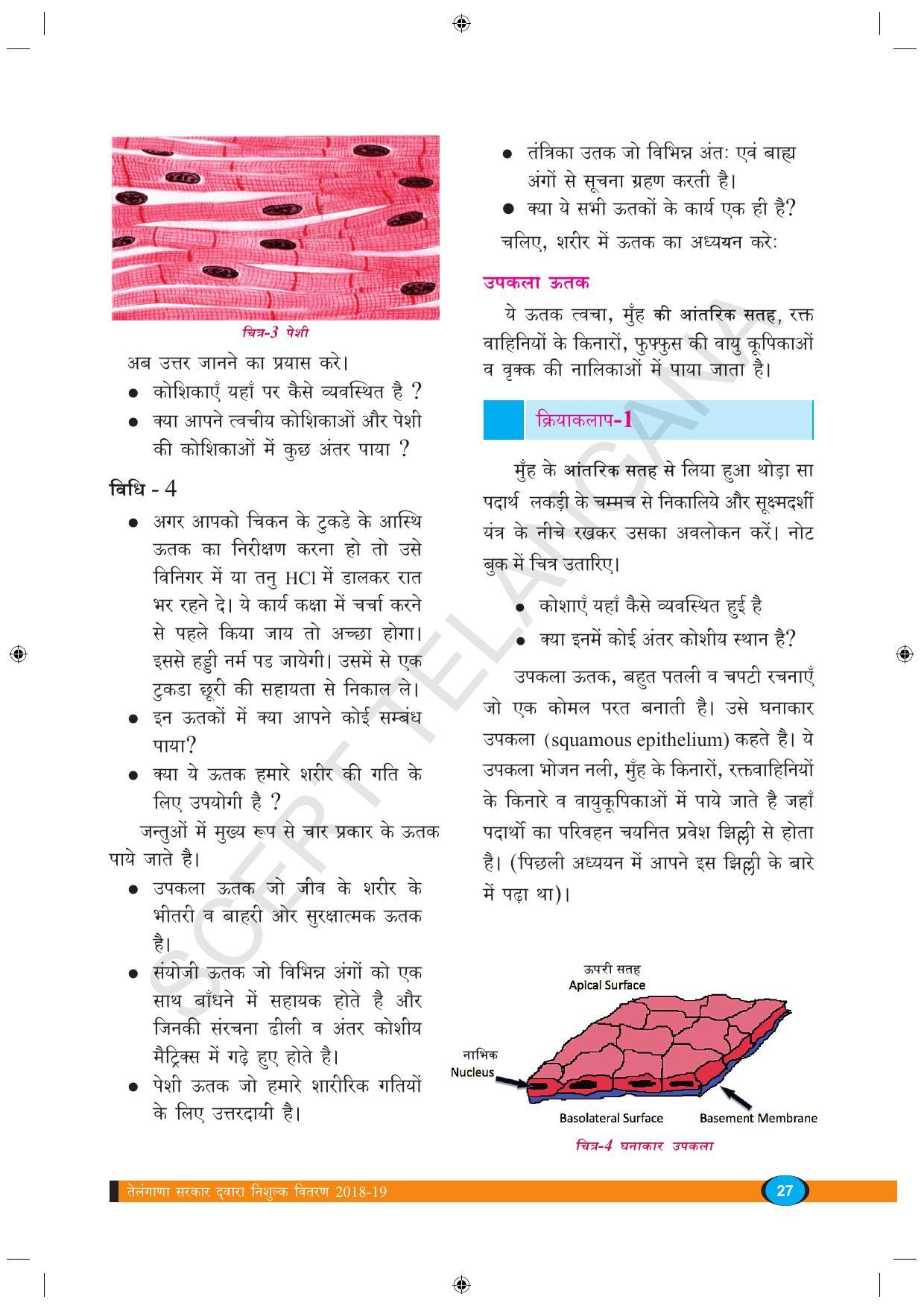 TS SCERT Class 9 Biological Science (Hindi Medium) Text Book - Page 39