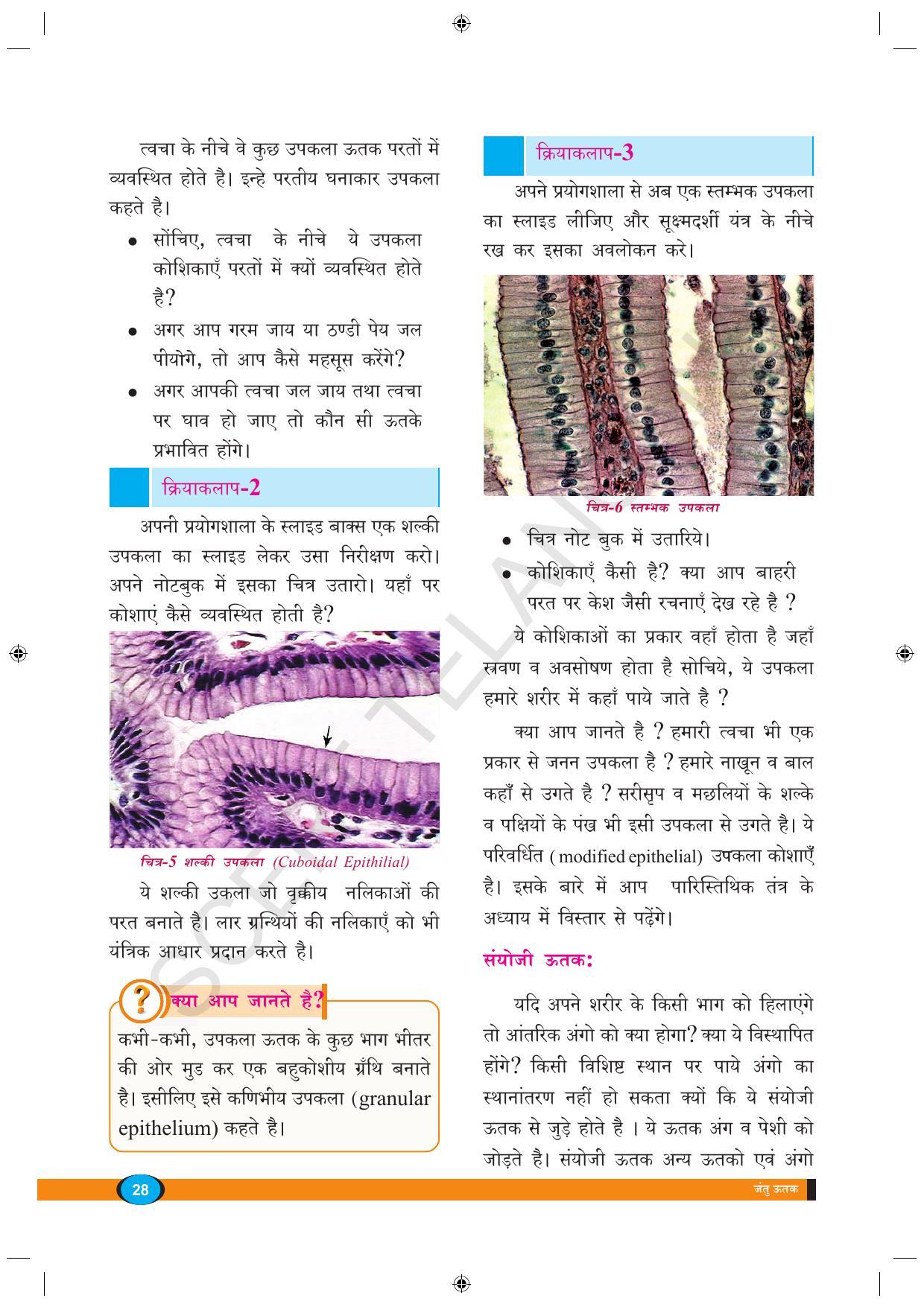TS SCERT Class 9 Biological Science (Hindi Medium) Text Book - Page 40