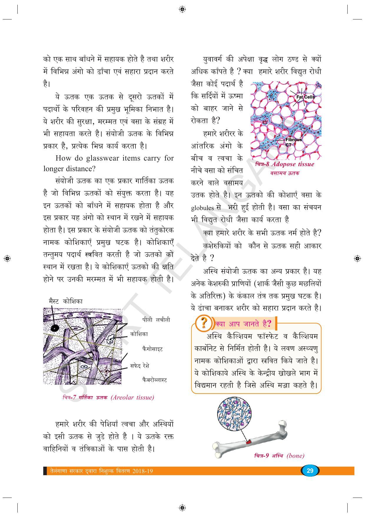 TS SCERT Class 9 Biological Science (Hindi Medium) Text Book - Page 41