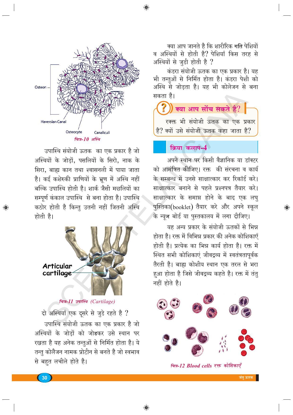TS SCERT Class 9 Biological Science (Hindi Medium) Text Book - Page 42