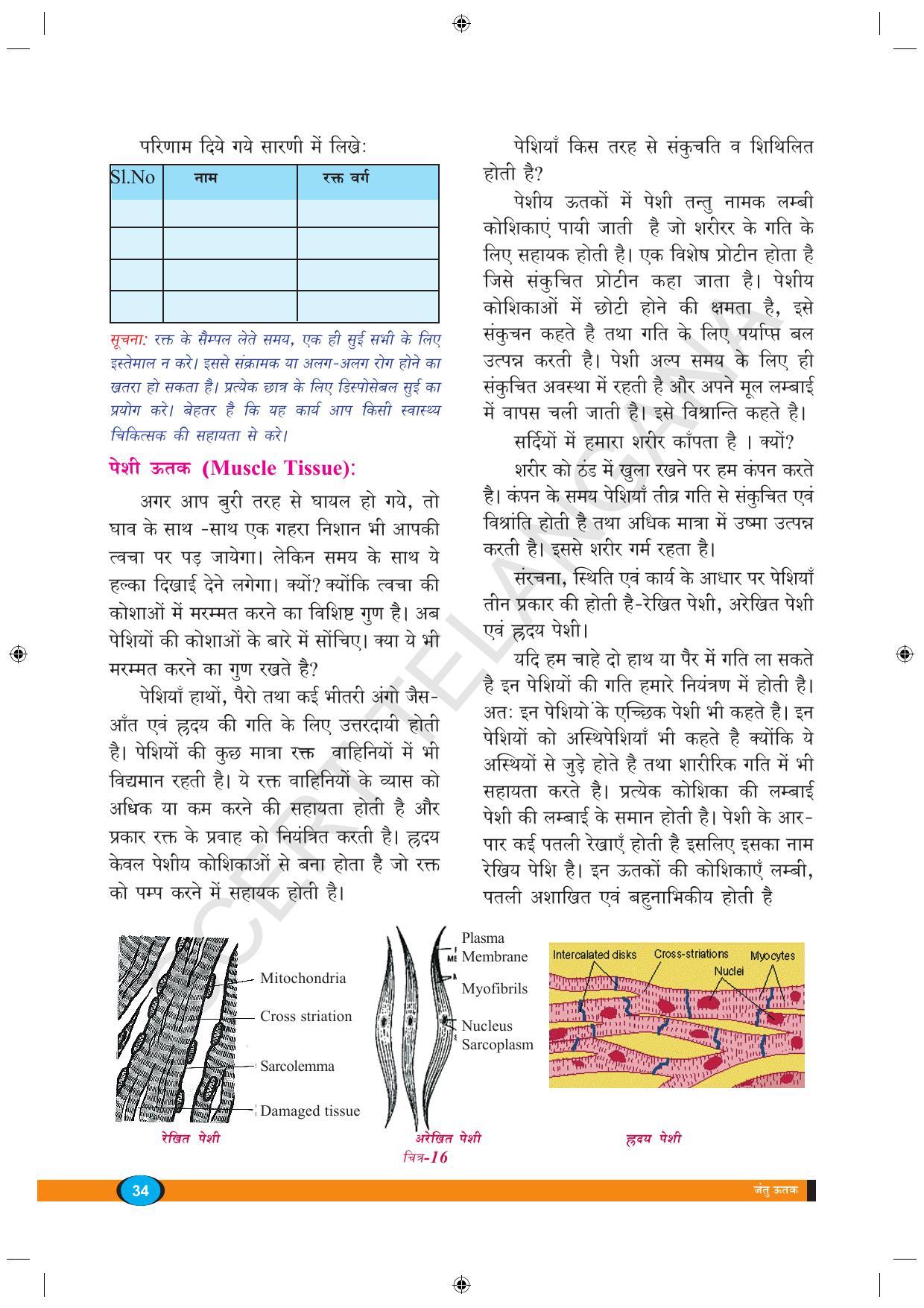 TS SCERT Class 9 Biological Science (Hindi Medium) Text Book - Page 46