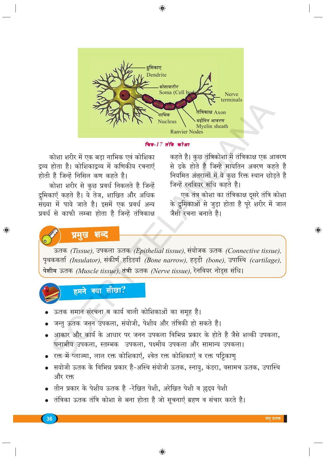TS SCERT Class 9 Biological Science (Hindi Medium) Text Book - Page 48