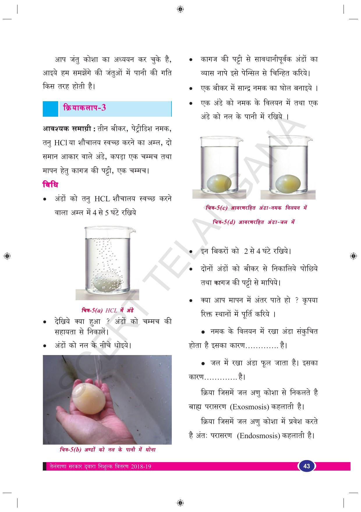 TS SCERT Class 9 Biological Science (Hindi Medium) Text Book - Page 55