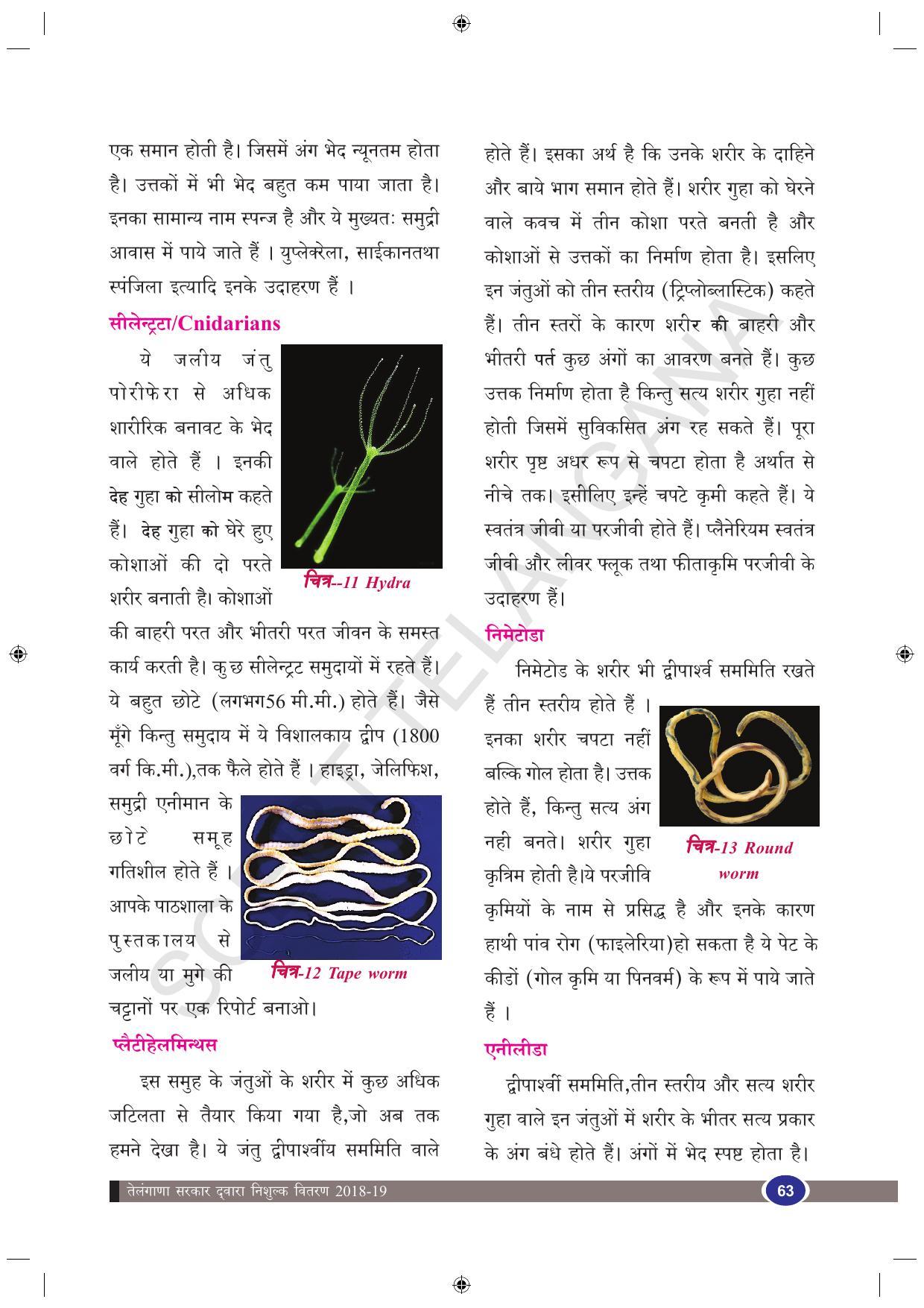 TS SCERT Class 9 Biological Science (Hindi Medium) Text Book - Page 75