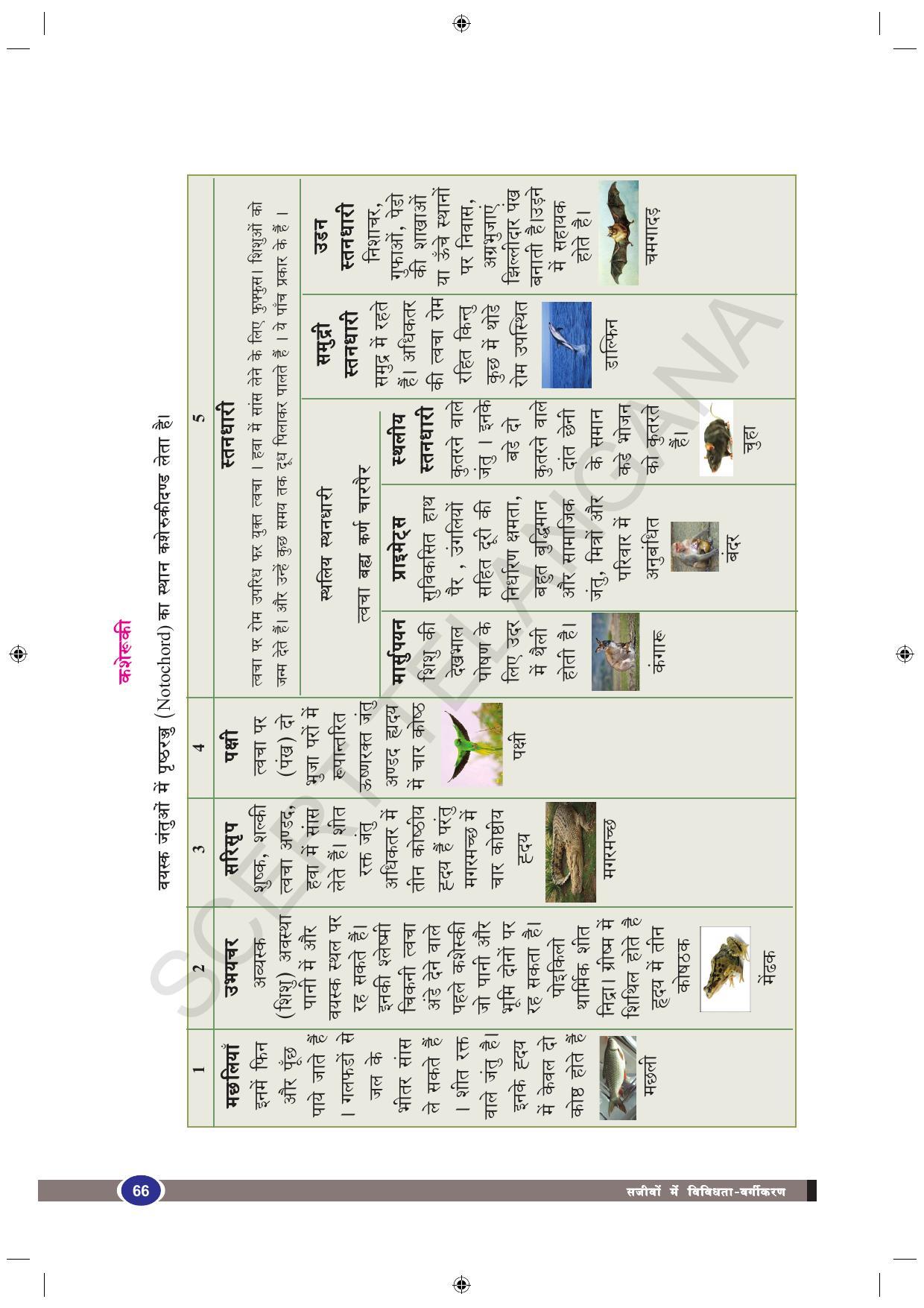 TS SCERT Class 9 Biological Science (Hindi Medium) Text Book - Page 78