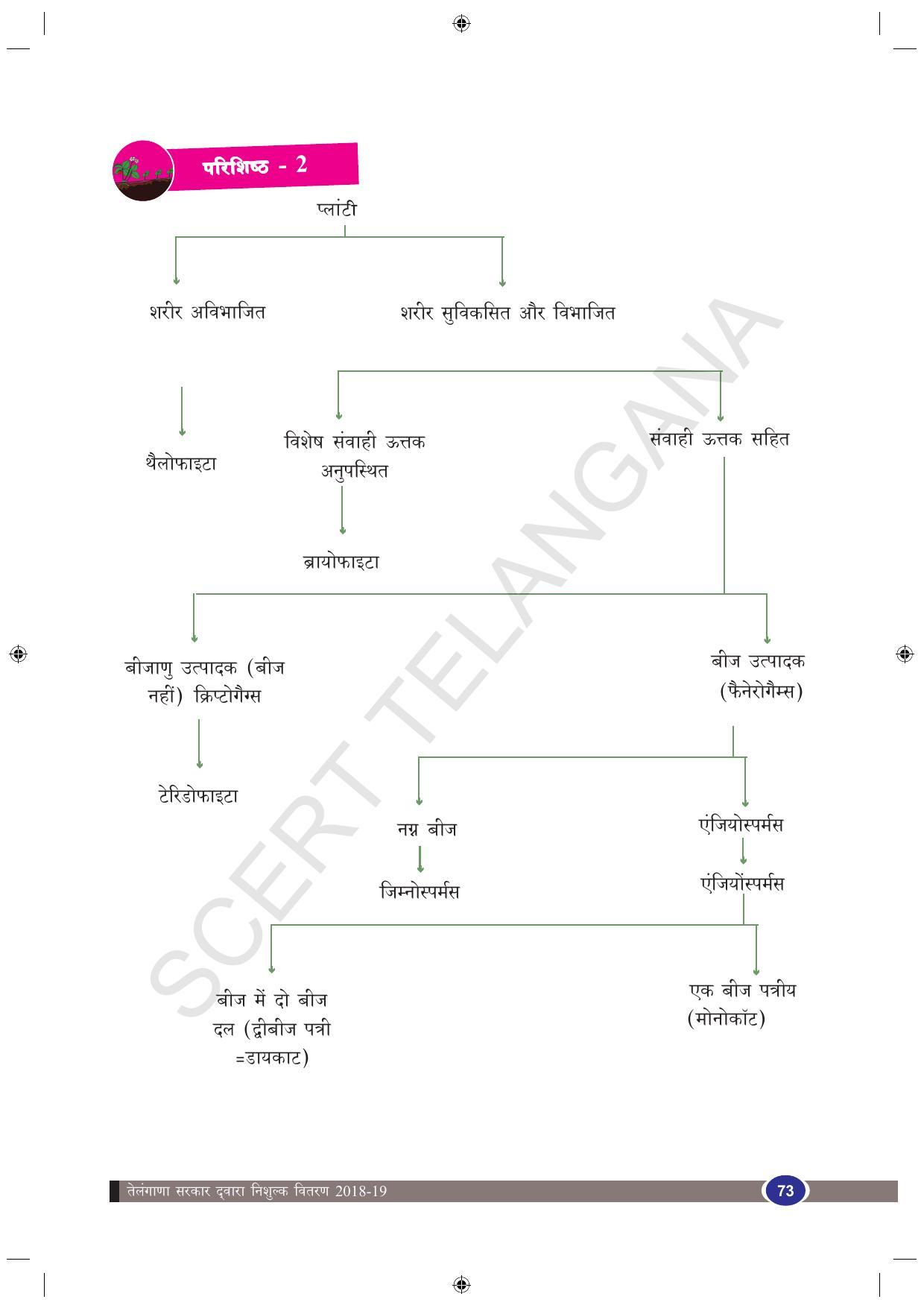 TS SCERT Class 9 Biological Science (Hindi Medium) Text Book - Page 85