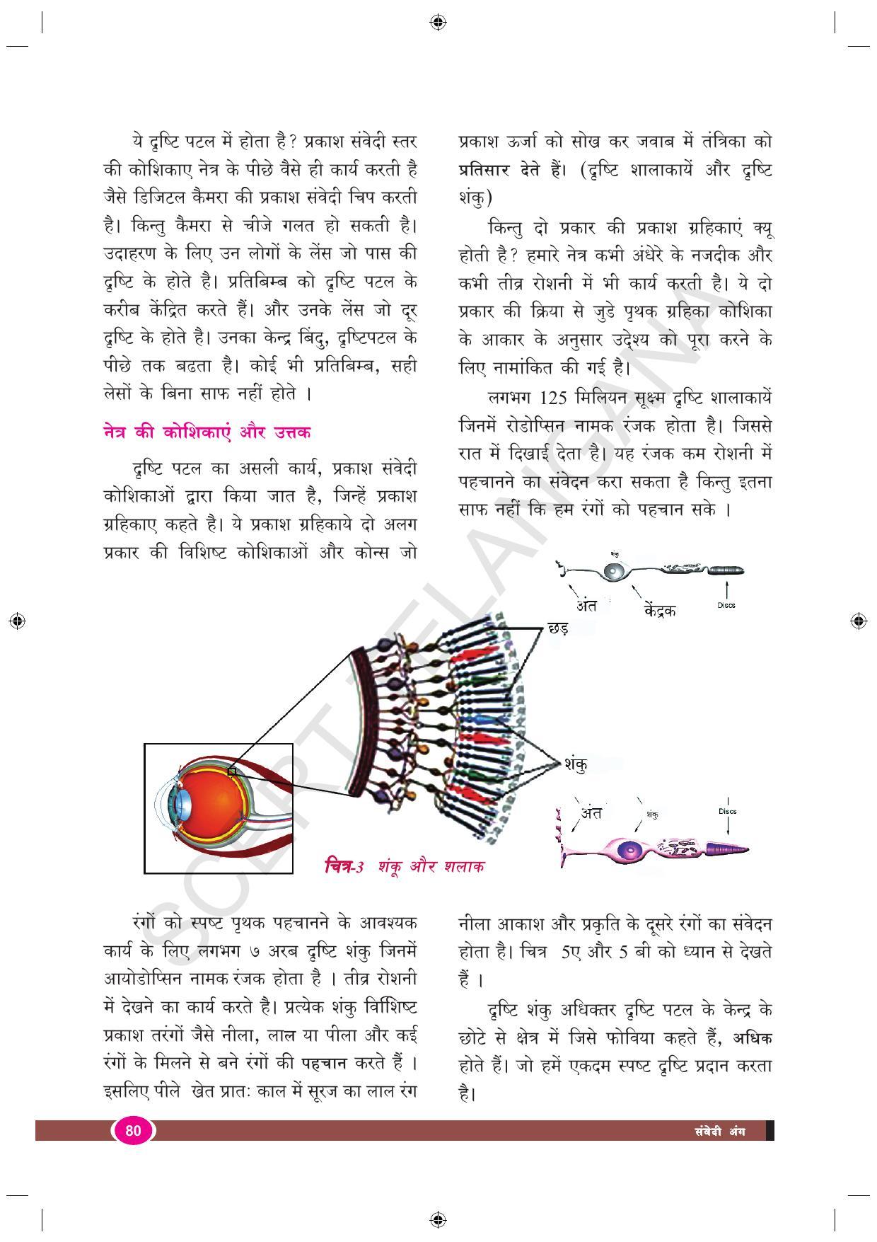 TS SCERT Class 9 Biological Science (Hindi Medium) Text Book - Page 92