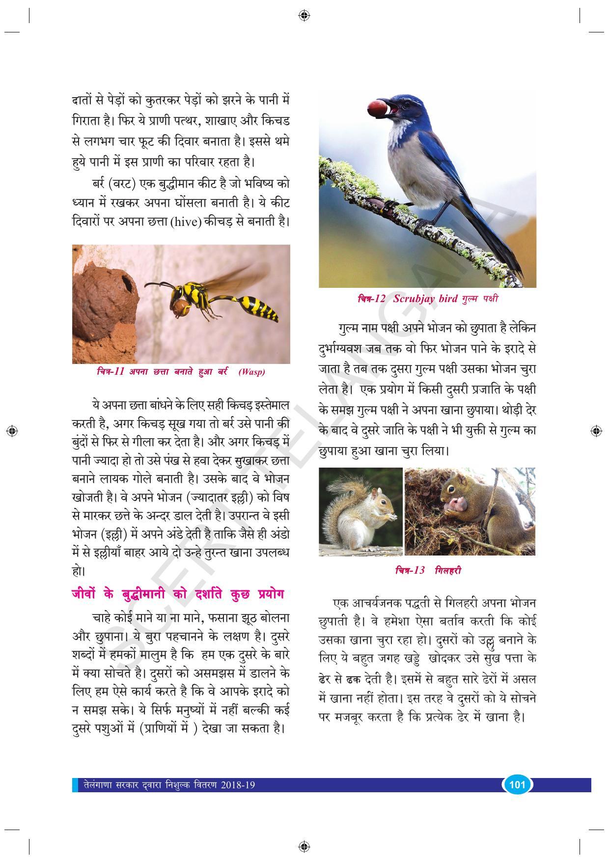 TS SCERT Class 9 Biological Science (Hindi Medium) Text Book - Page 113