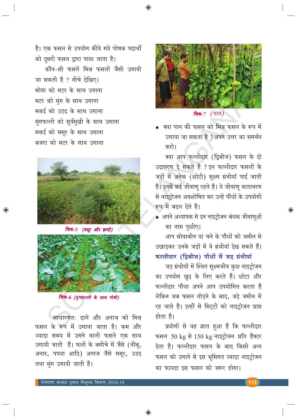 TS SCERT Class 9 Biological Science (Hindi Medium) Text Book - Page 125