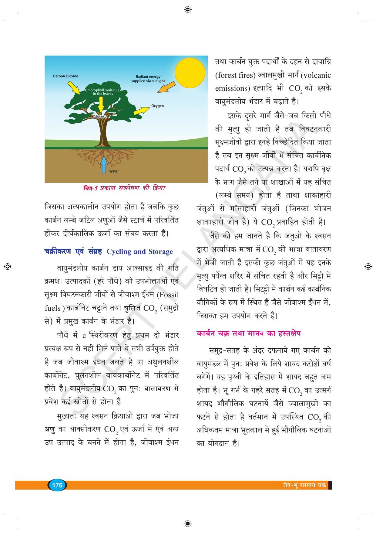 TS SCERT Class 9 Biological Science (Hindi Medium) Text Book - Page 188