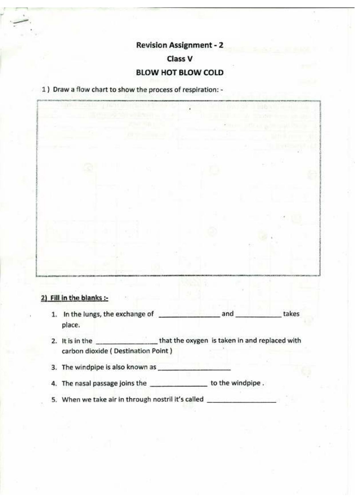 Worksheet for Class 5 Environmental Studies Assignment 6 - Page 1