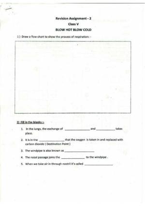 Worksheet for Class 5 Environmental Studies Assignment 6