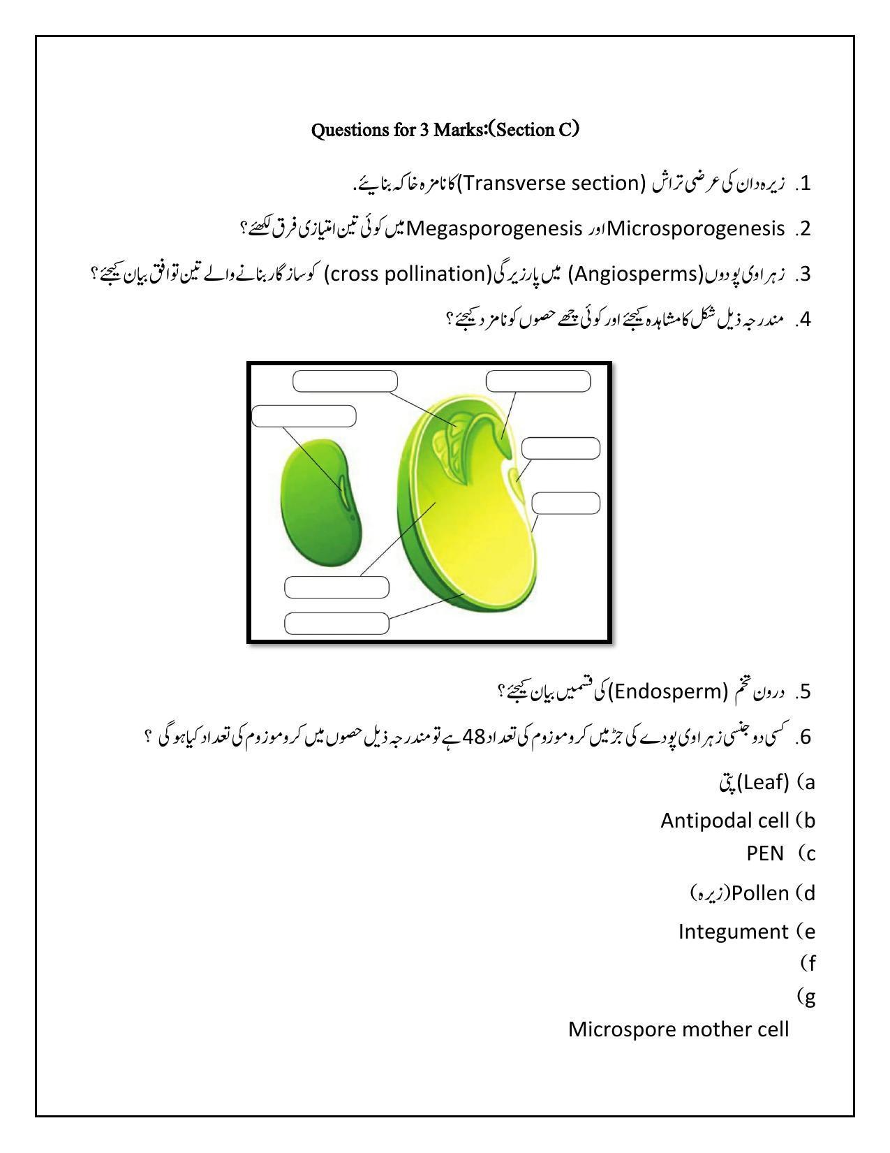 Maharashtra Board Class 12 	Biology Sample Paper (Urdu Medium) - Page 18