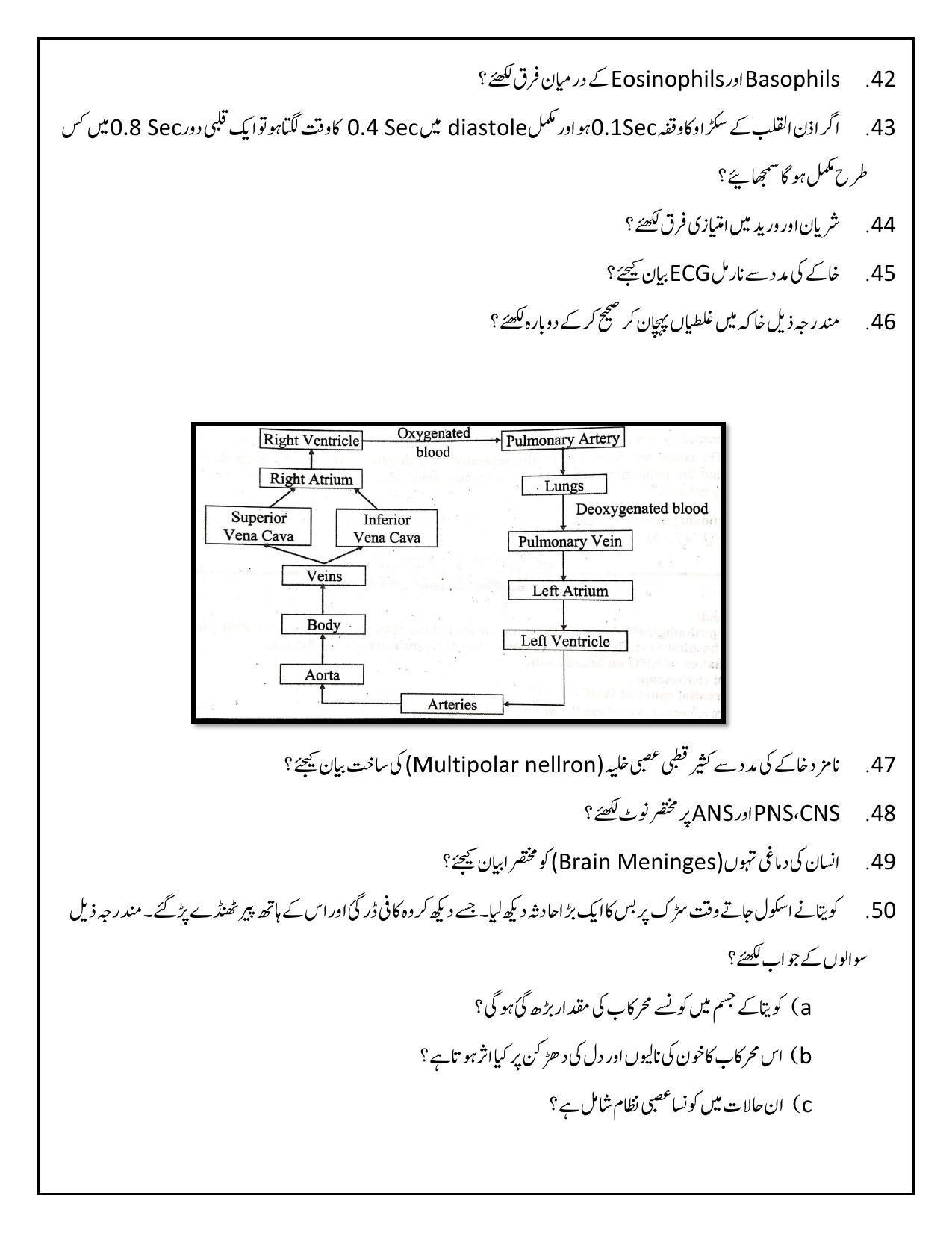 Maharashtra Board Class 12 	Biology Sample Paper (Urdu Medium) - Page 22