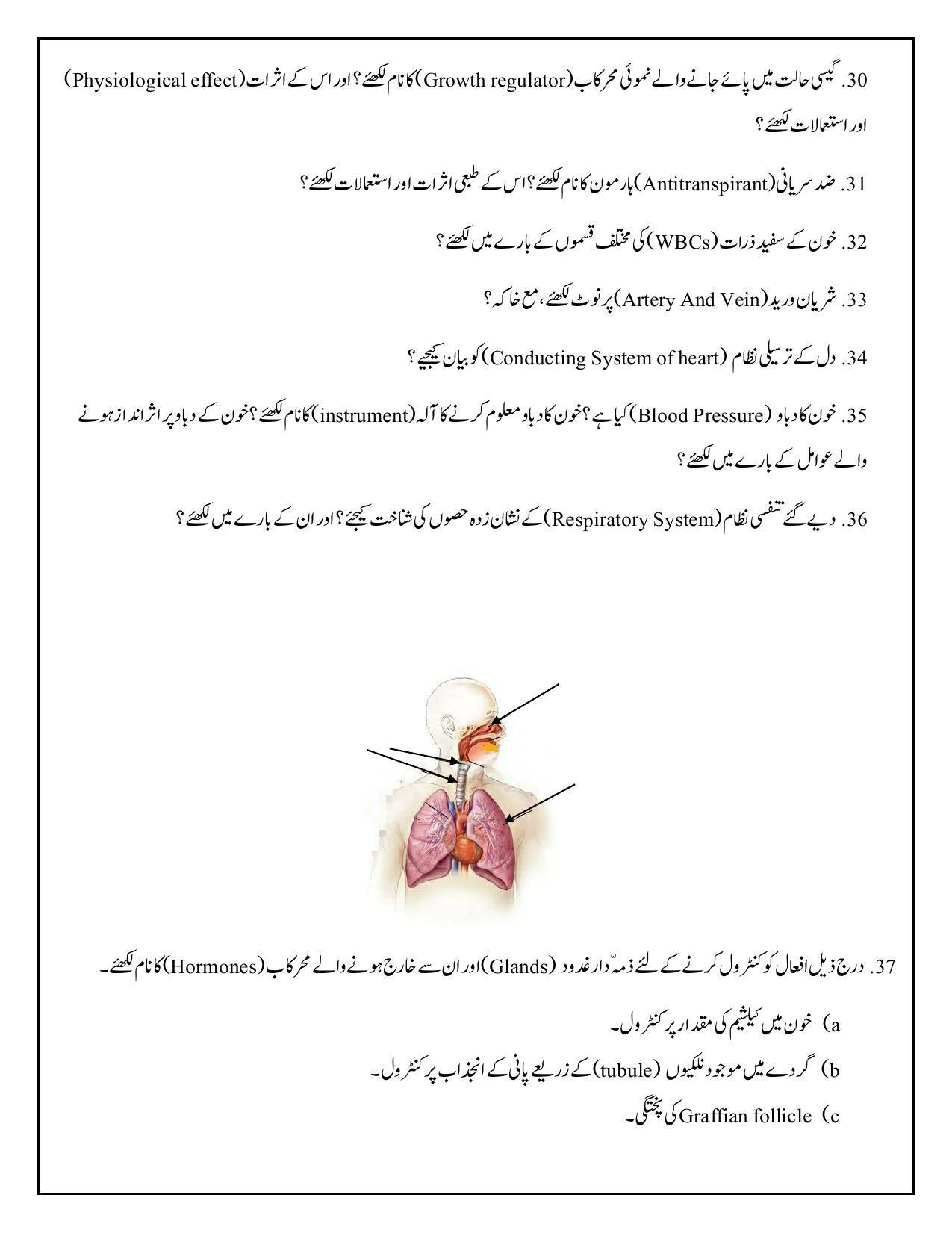 Maharashtra Board Class 12 	Biology Sample Paper (Urdu Medium) - Page 30