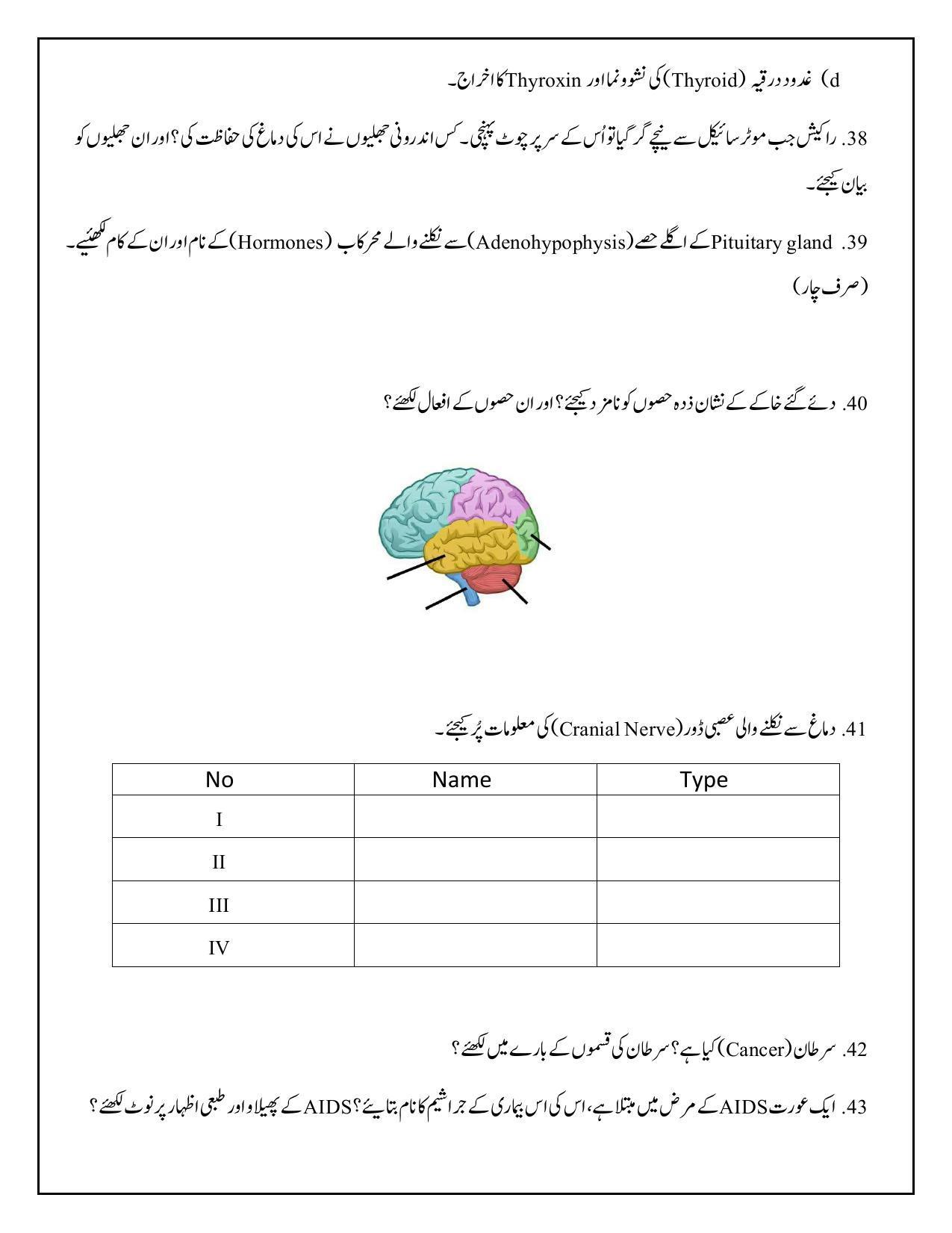 Maharashtra Board Class 12 	Biology Sample Paper (Urdu Medium) - Page 31