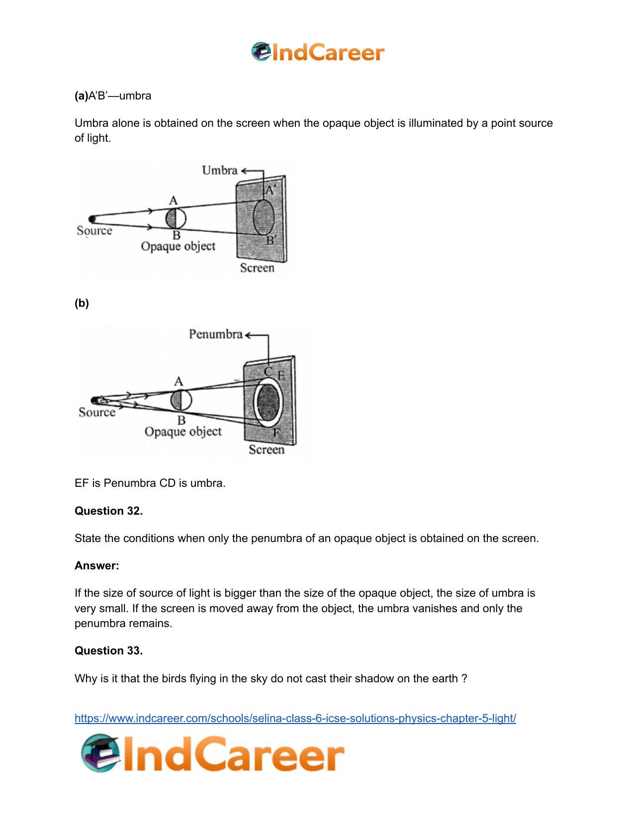 Selina Class 6 ICSE Solutions Physics : Chapter 5- Light - Page 17