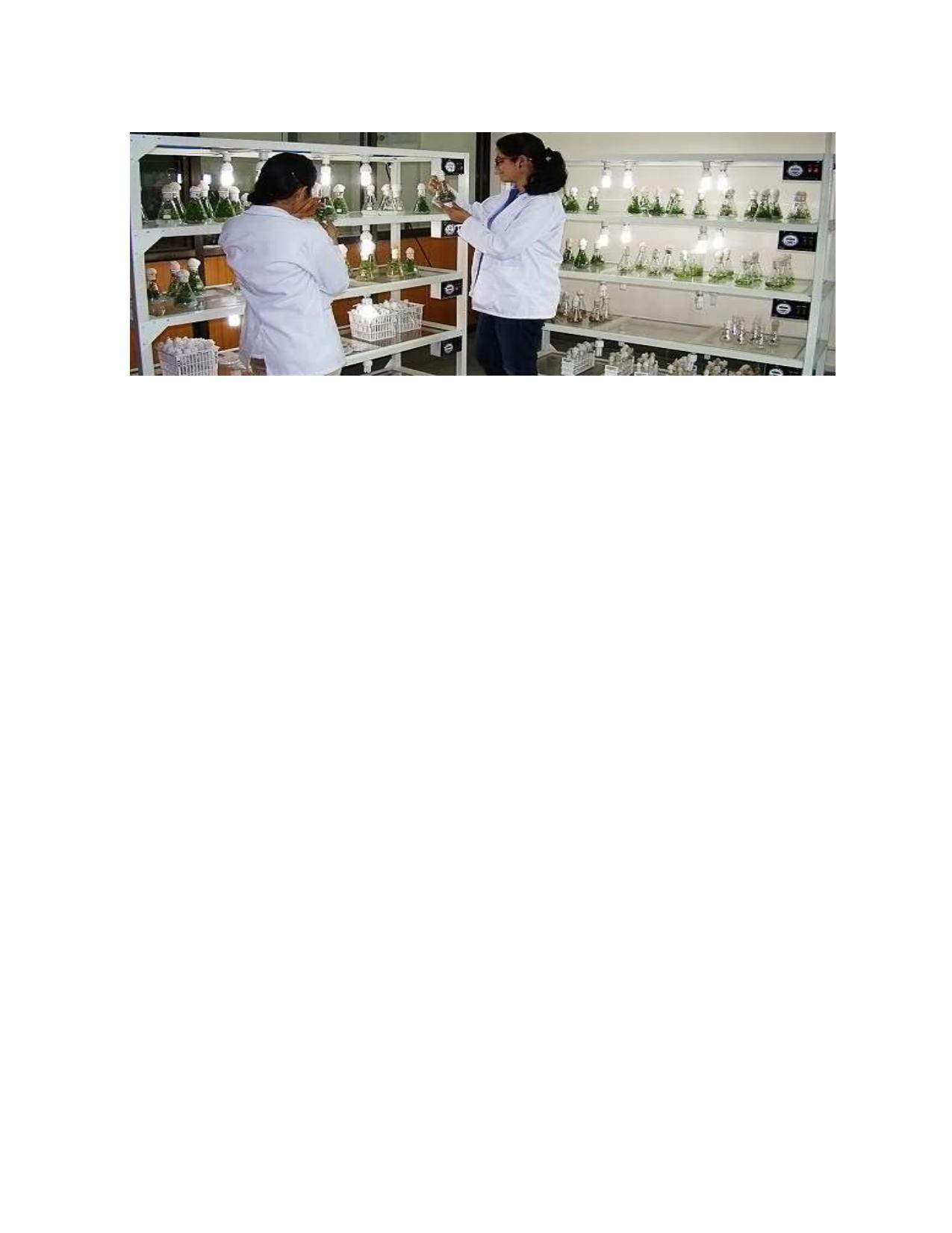 Shri Mata Vaishno Devi University (SMVDU), Katra 2020-21 (Prospectus) - Page 65
