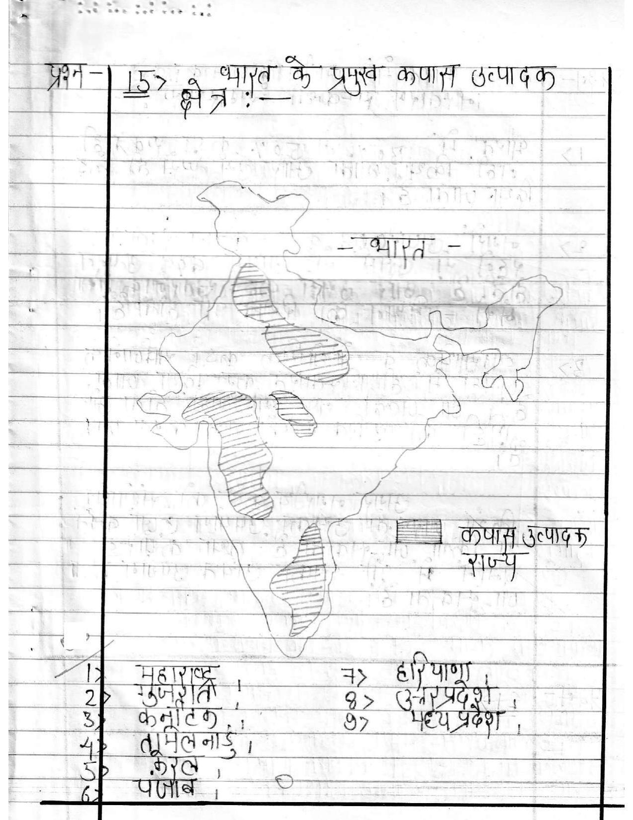 UBSE Class 12 Geography 2020 Toppers Answer Sheet - Page 6