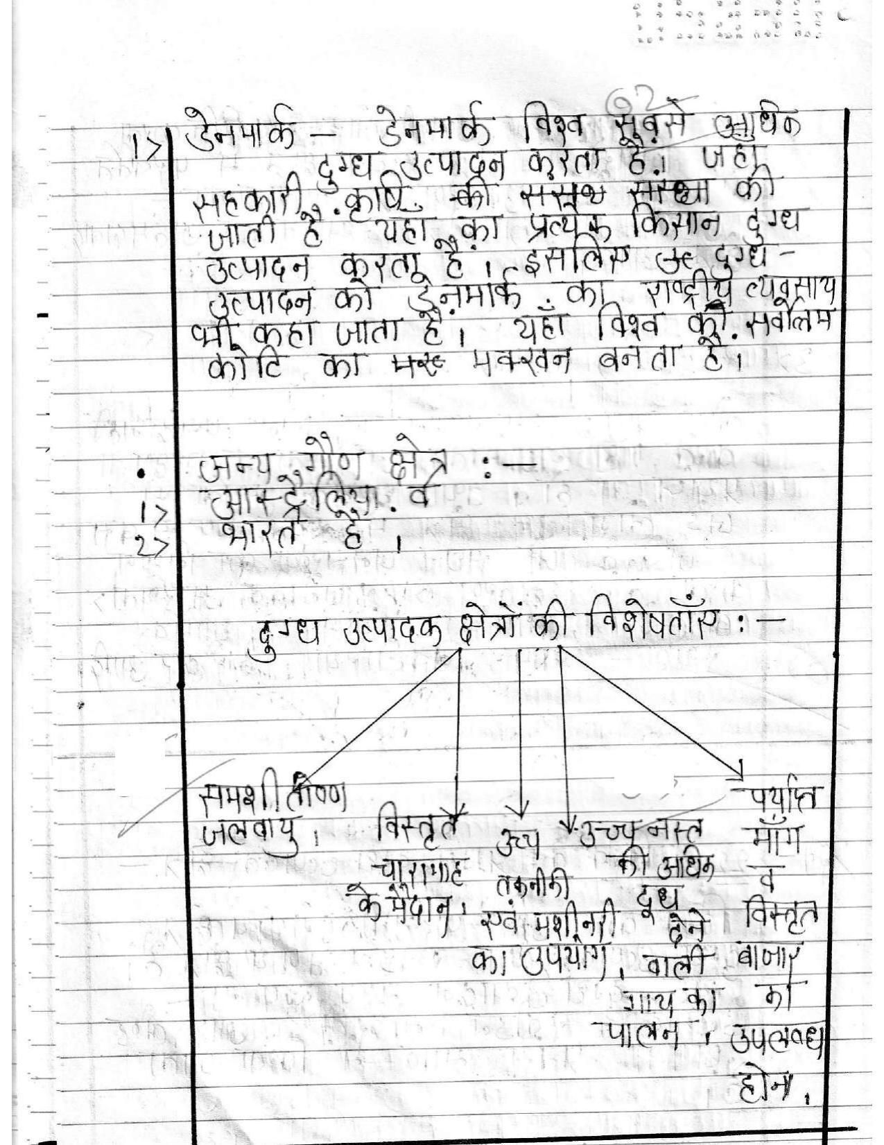 UBSE Class 12 Geography 2020 Toppers Answer Sheet - Page 11