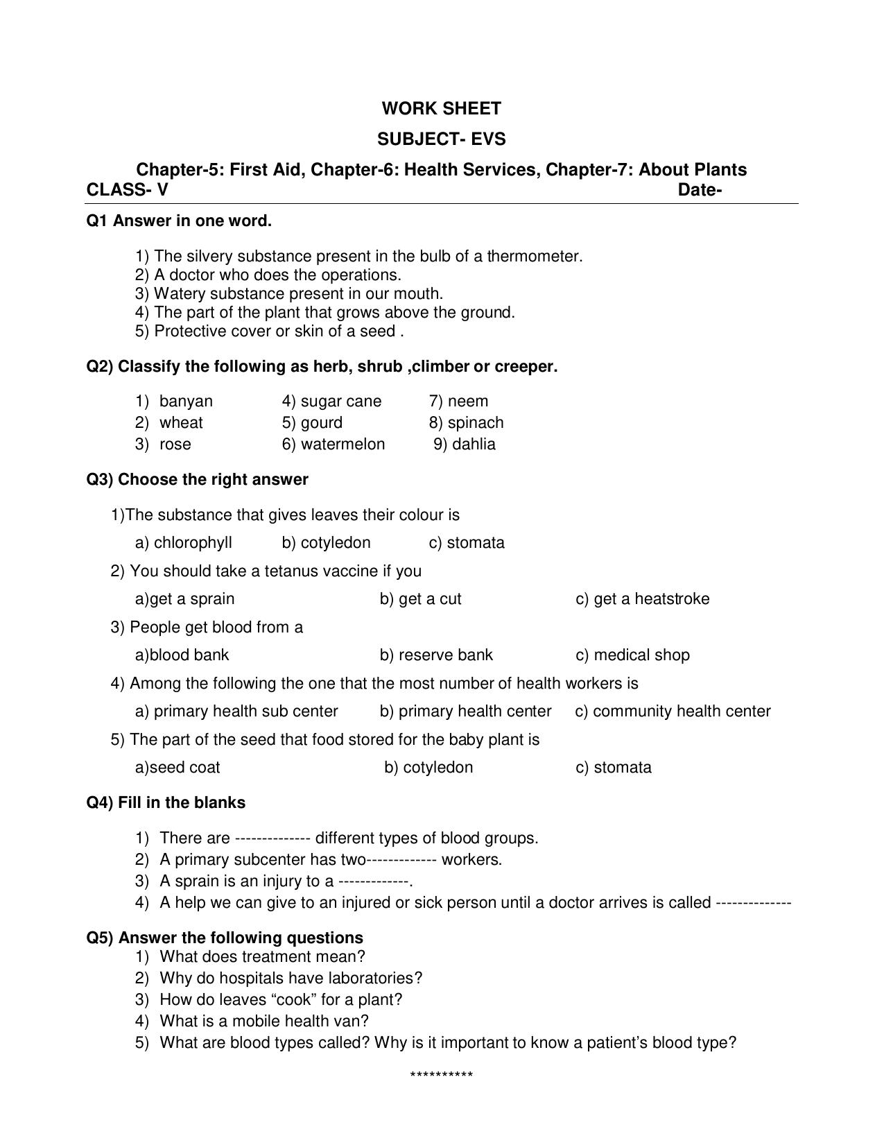 Worksheet for Class 5 Environmental Studies Our Constitution Assignment - Page 1