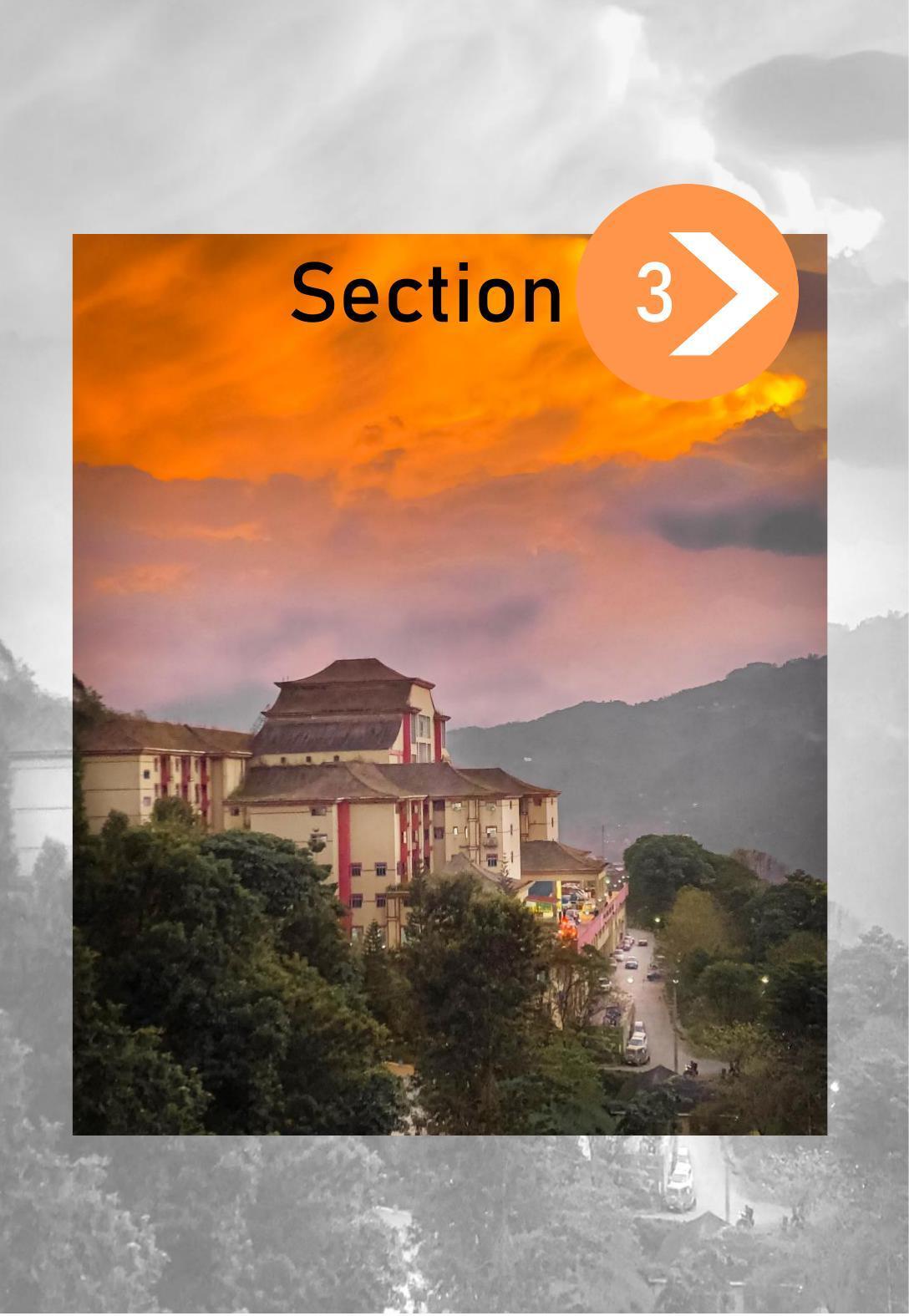Sikkim Manipal University, Manipal SMU Prospectus -2022 - Page 99