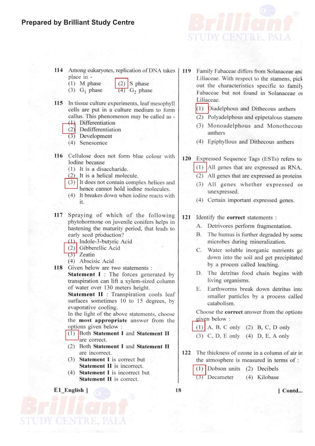 NEET 2023 Question Paper F1 - Page 17