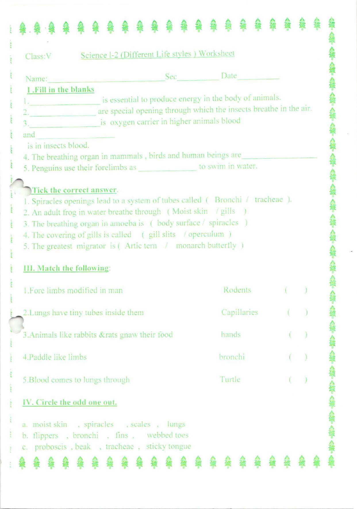 Worksheet for Class 5 Science Different Life Style Assignment 2 - Page 1
