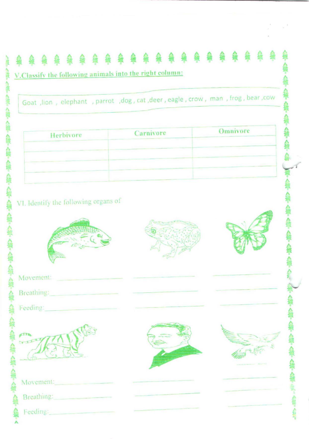 Worksheet for Class 5 Science Different Life Style Assignment 2 - Page 2