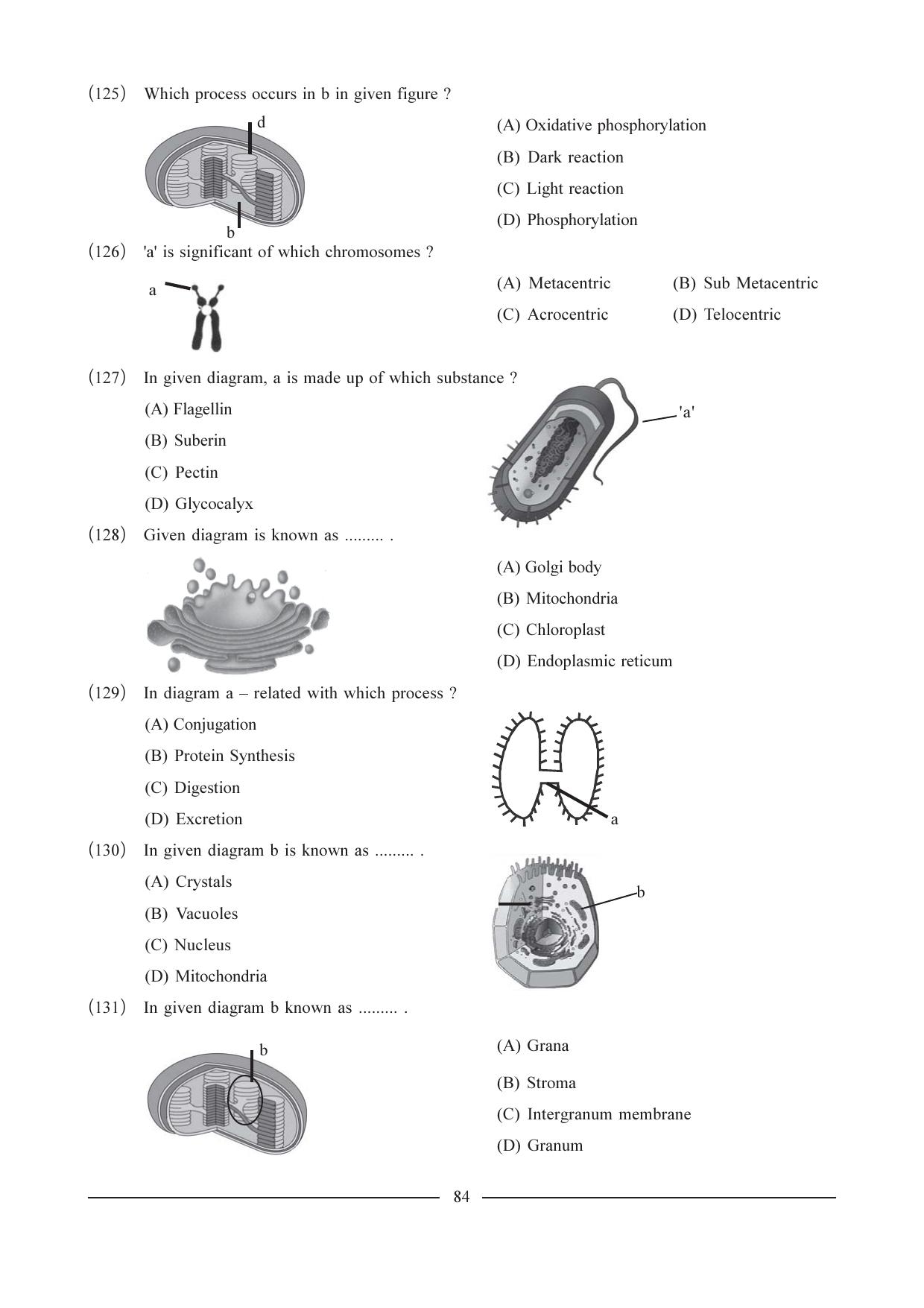 GSEB HSC Biology Question Paper (English Medium)- Chapter 5 - Page 17