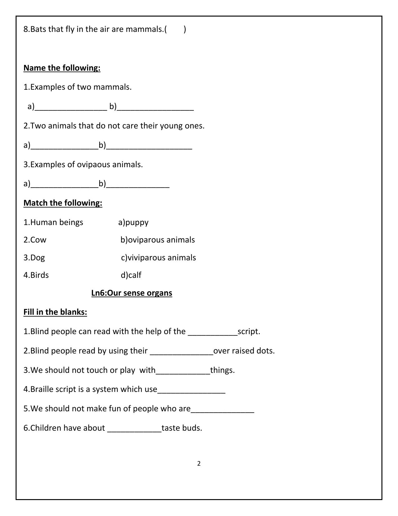 Worksheet for Class 4 Environmental Studies Where do Babies Come From Assignment - Page 2