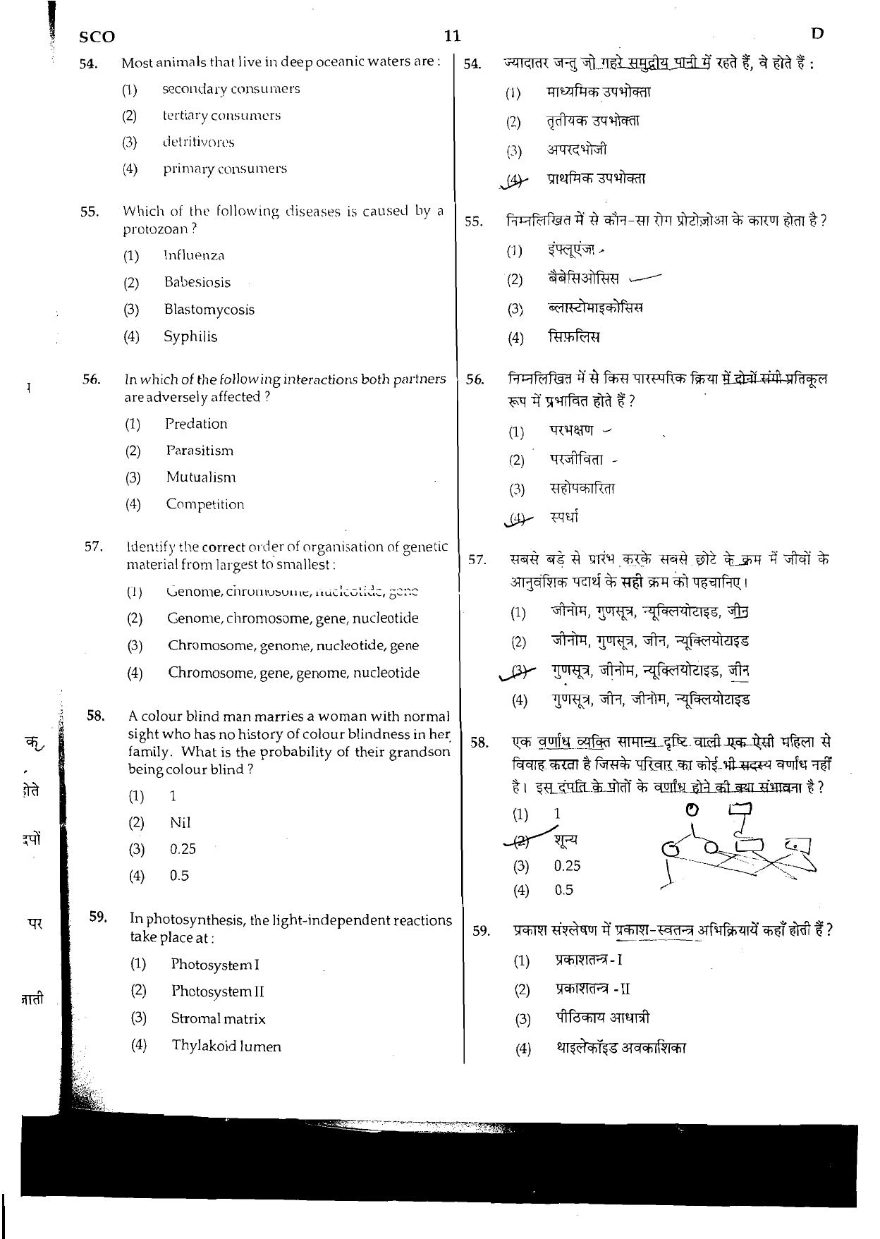 NEET Code D 2015 Question Paper - Page 11