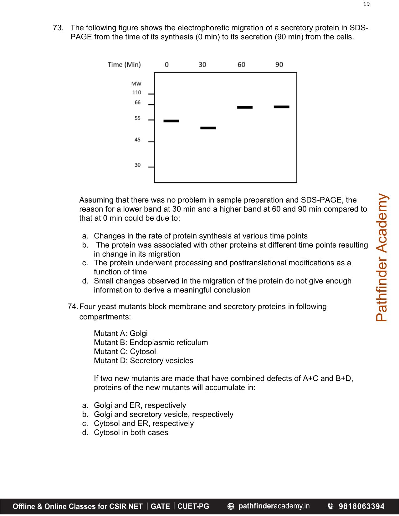 BET 2017 Question Paper - Page 19