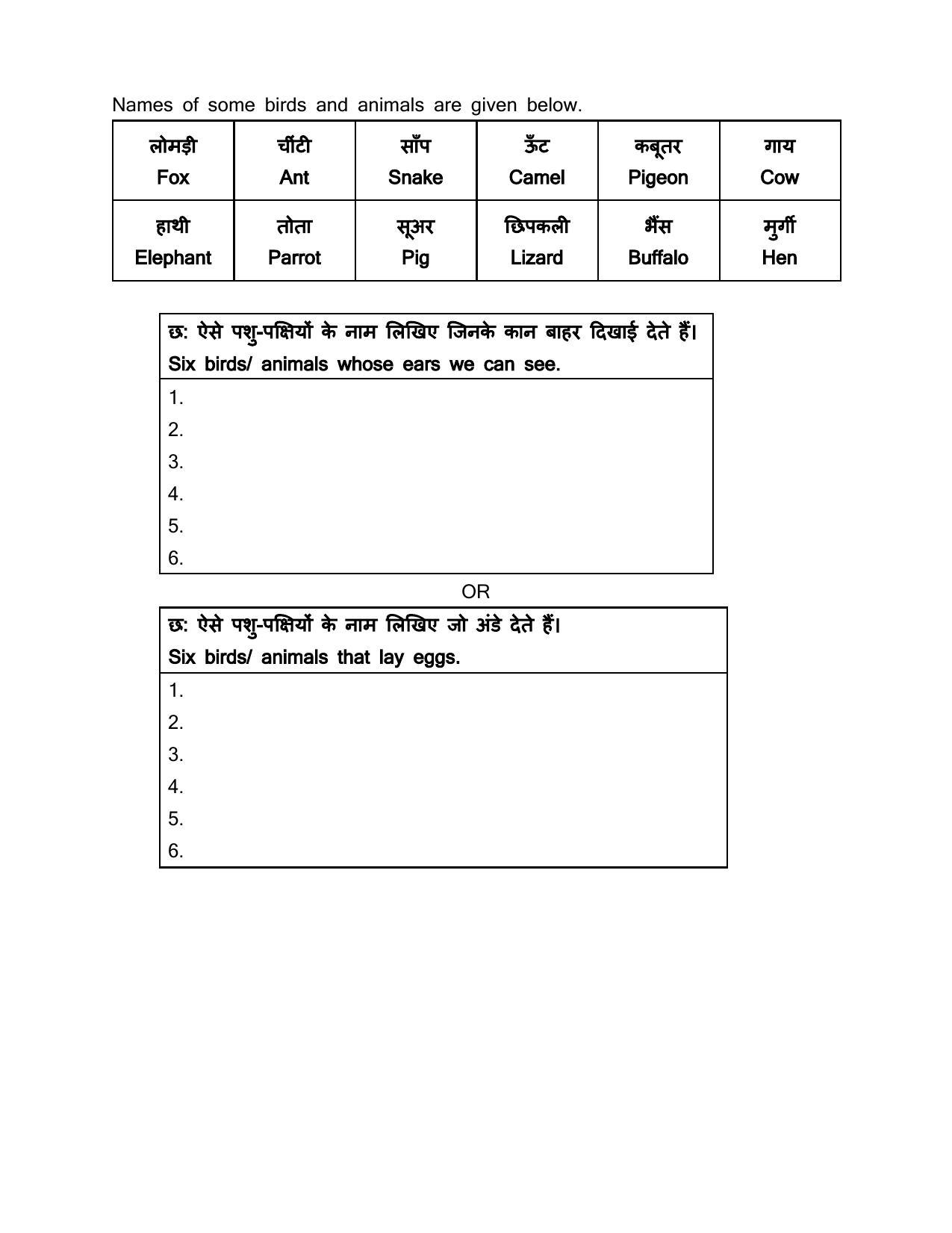 Edudel Class 4 EVS Sample Question Paper - Page 8