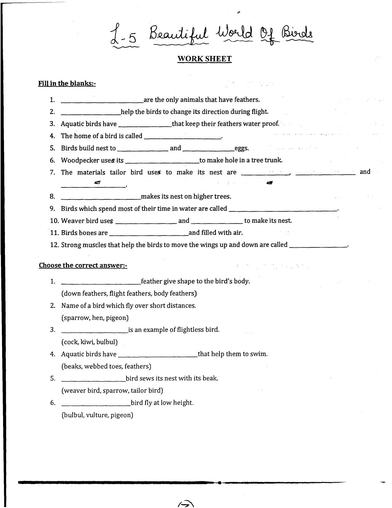 Worksheet for Class 3 EVS Assignment 104 Beautiful world of Birds - Page 1