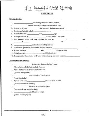 Worksheet for Class 3 EVS Assignment 104 Beautiful world of Birds