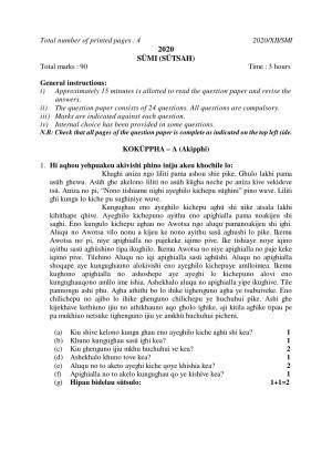 Nagaland Board Class 12 SÜMI (SÜTSAH) 2020 Question Papers