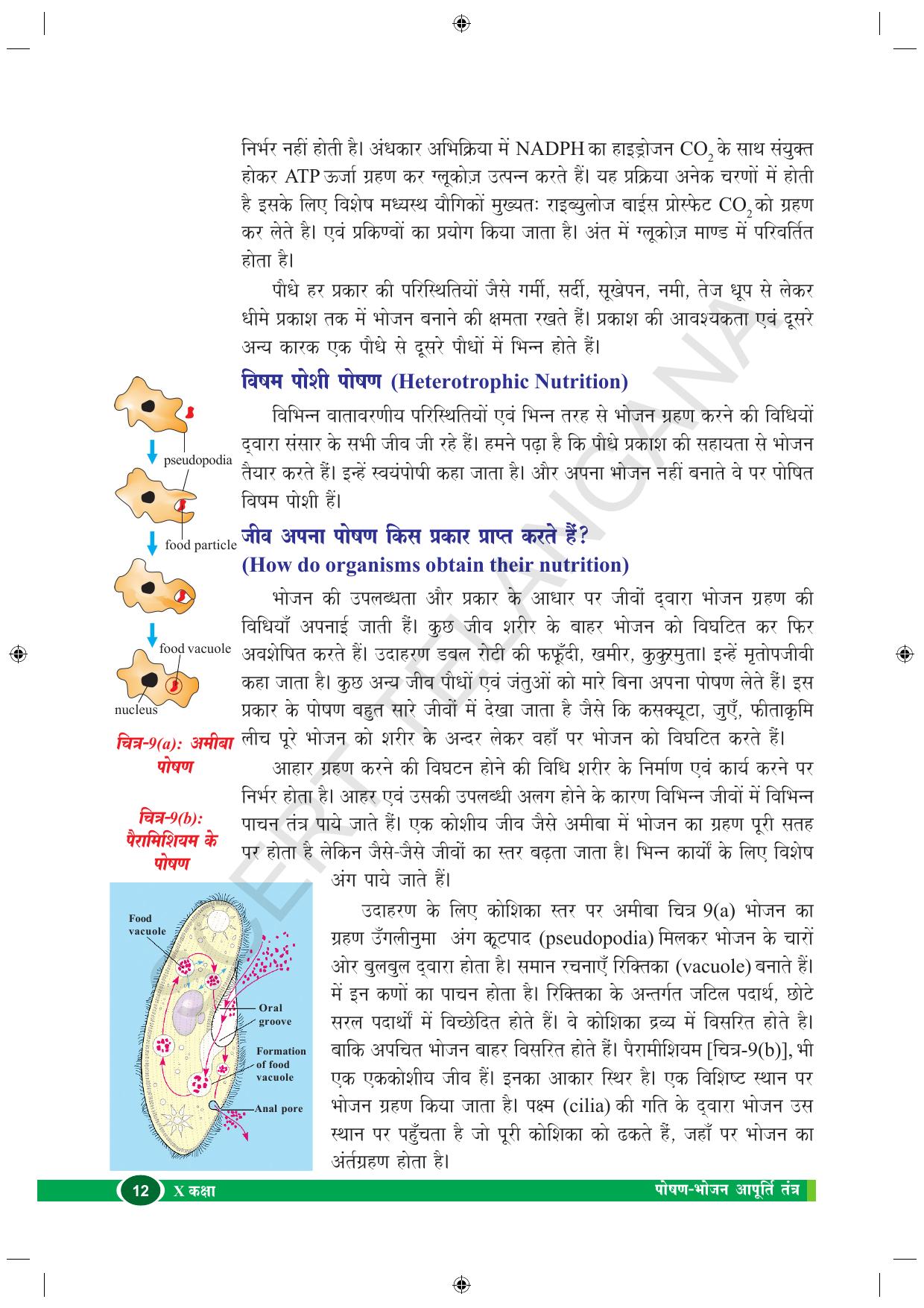 TS SCERT Class 10 Biological Science (Hindi Medium) Text Book - Page 24