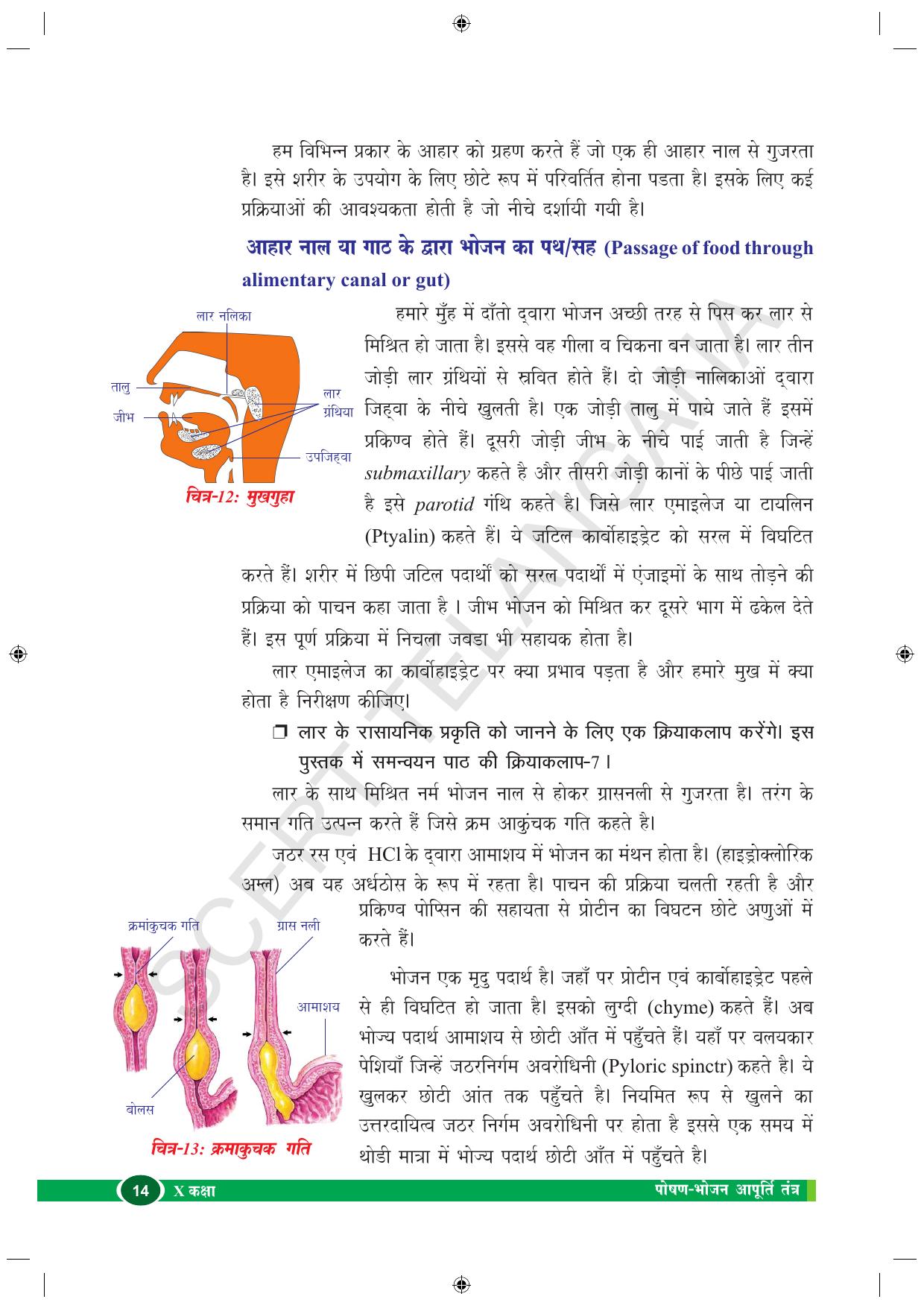 TS SCERT Class 10 Biological Science (Hindi Medium) Text Book - Page 26